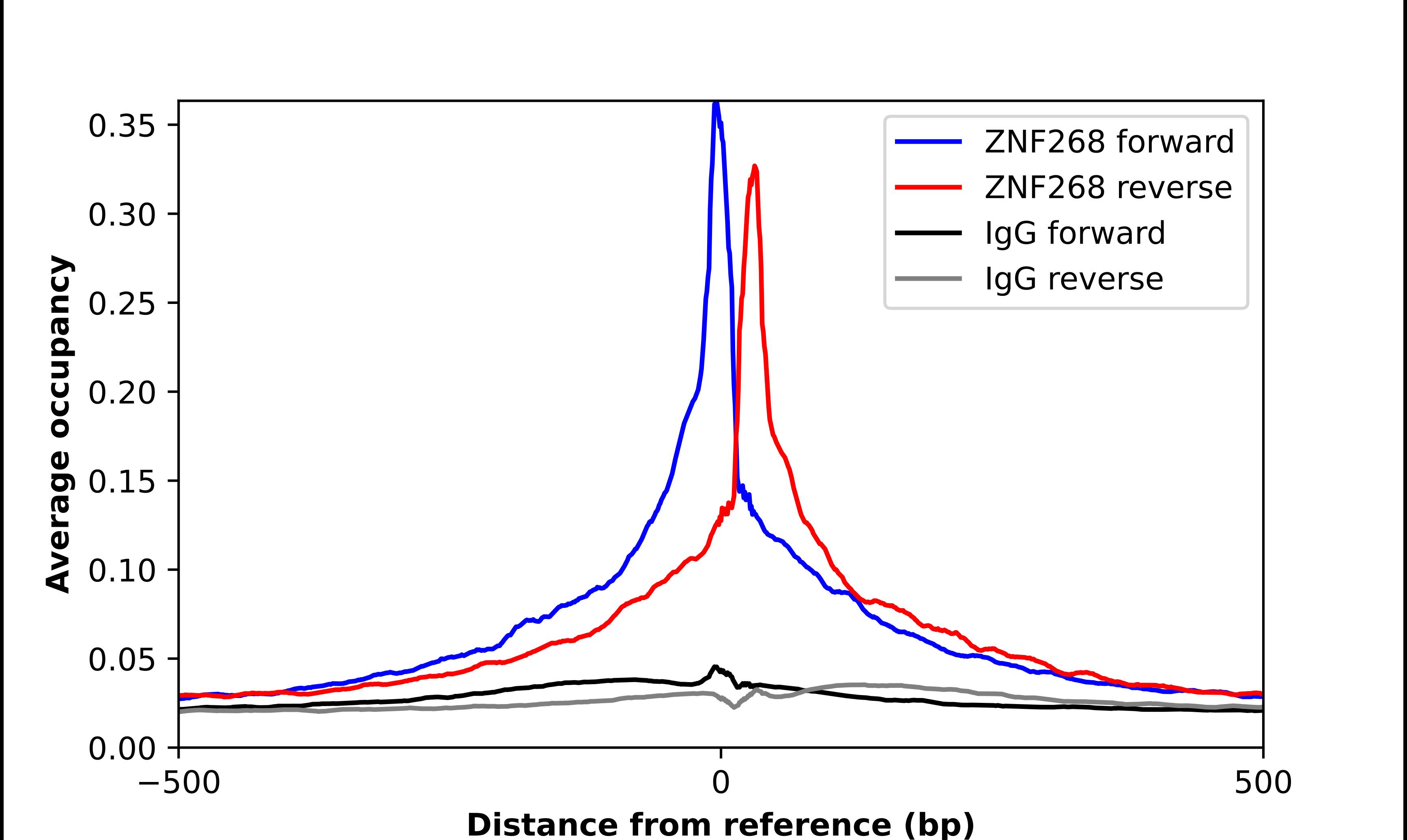 ZNF268 Antibody - BSA Free Chromatin Immunoprecipitation ChIP: ZNF268 Antibody - BSA Free