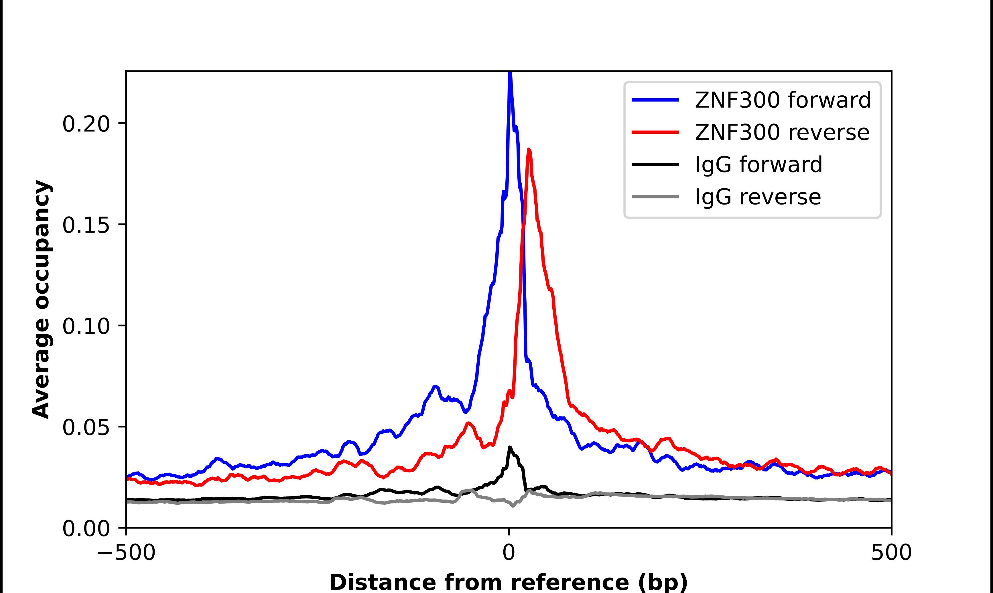 ZNF300 Antibody - BSA Free Chromatin Immunoprecipitation-exo-Seq: ZNF300 Antibody - BSA Free [NBP2-13566]