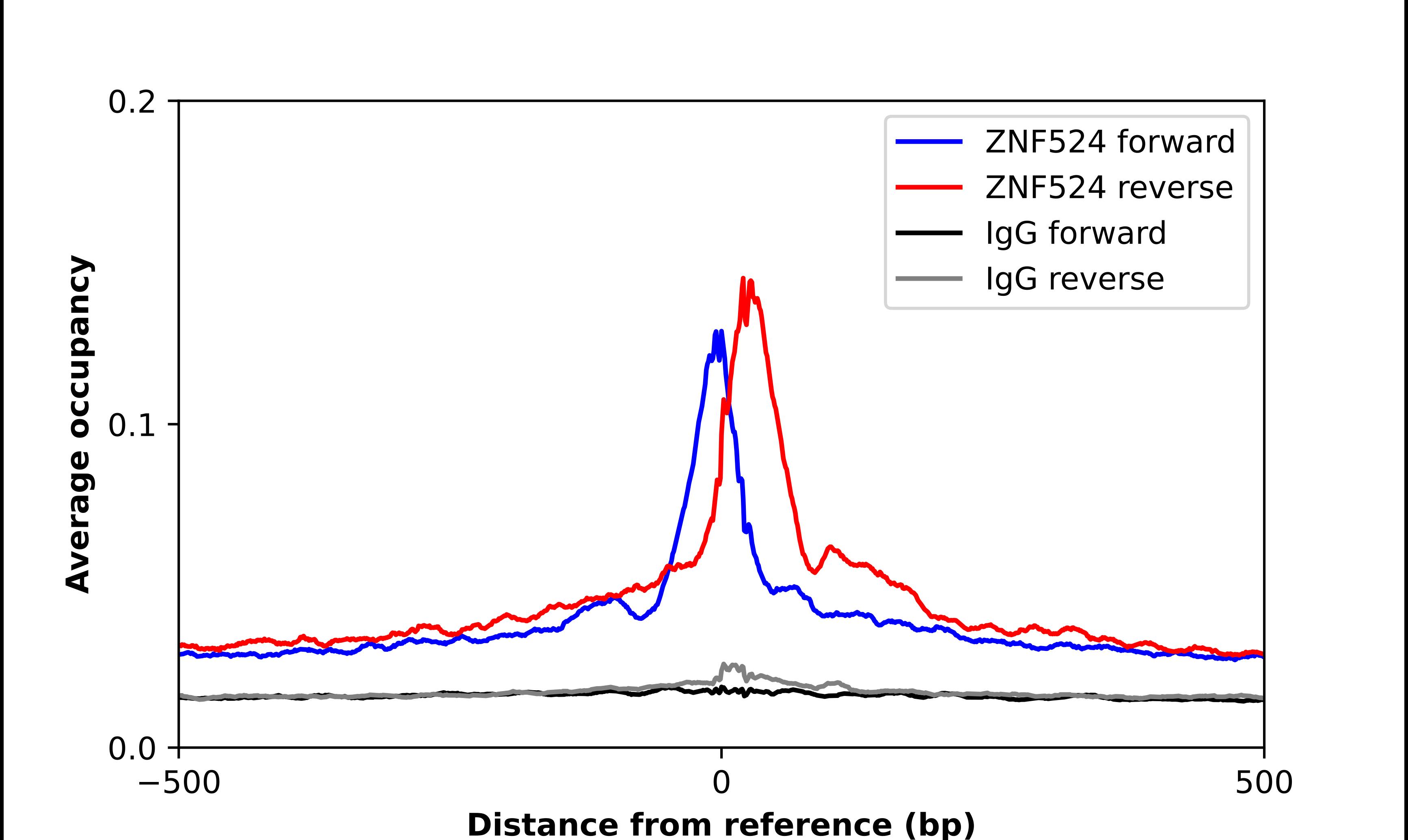 ZNF524 Antibody - BSA Free Chromatin Immunoprecipitation-exo-Seq: ZNF524 Antibody - BSA Free [NBP2-13579]