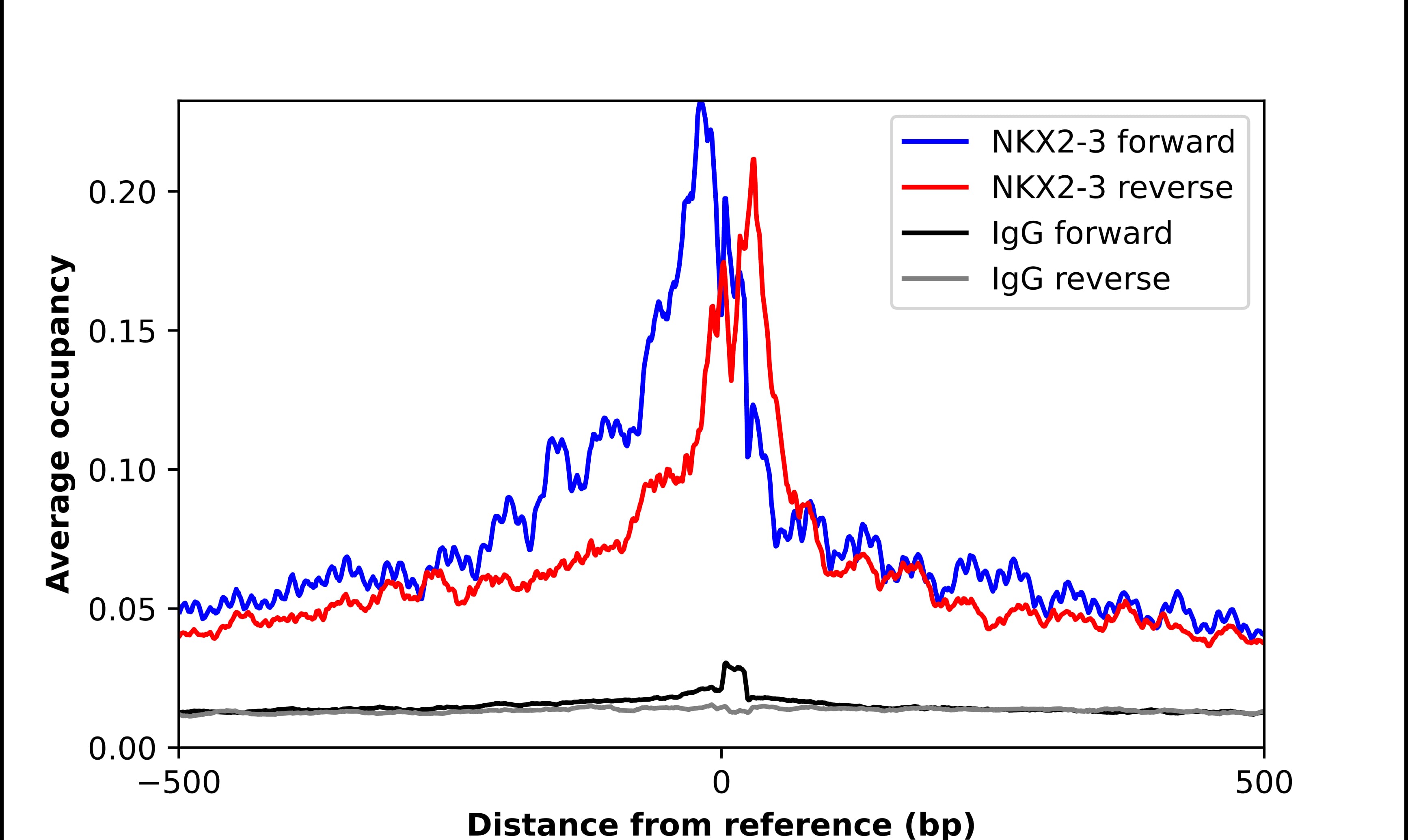 NKX2.3 Antibody - BSA Free Chromatin Immunoprecipitation ChIP: NKX2.3 Antibody - BSA Free