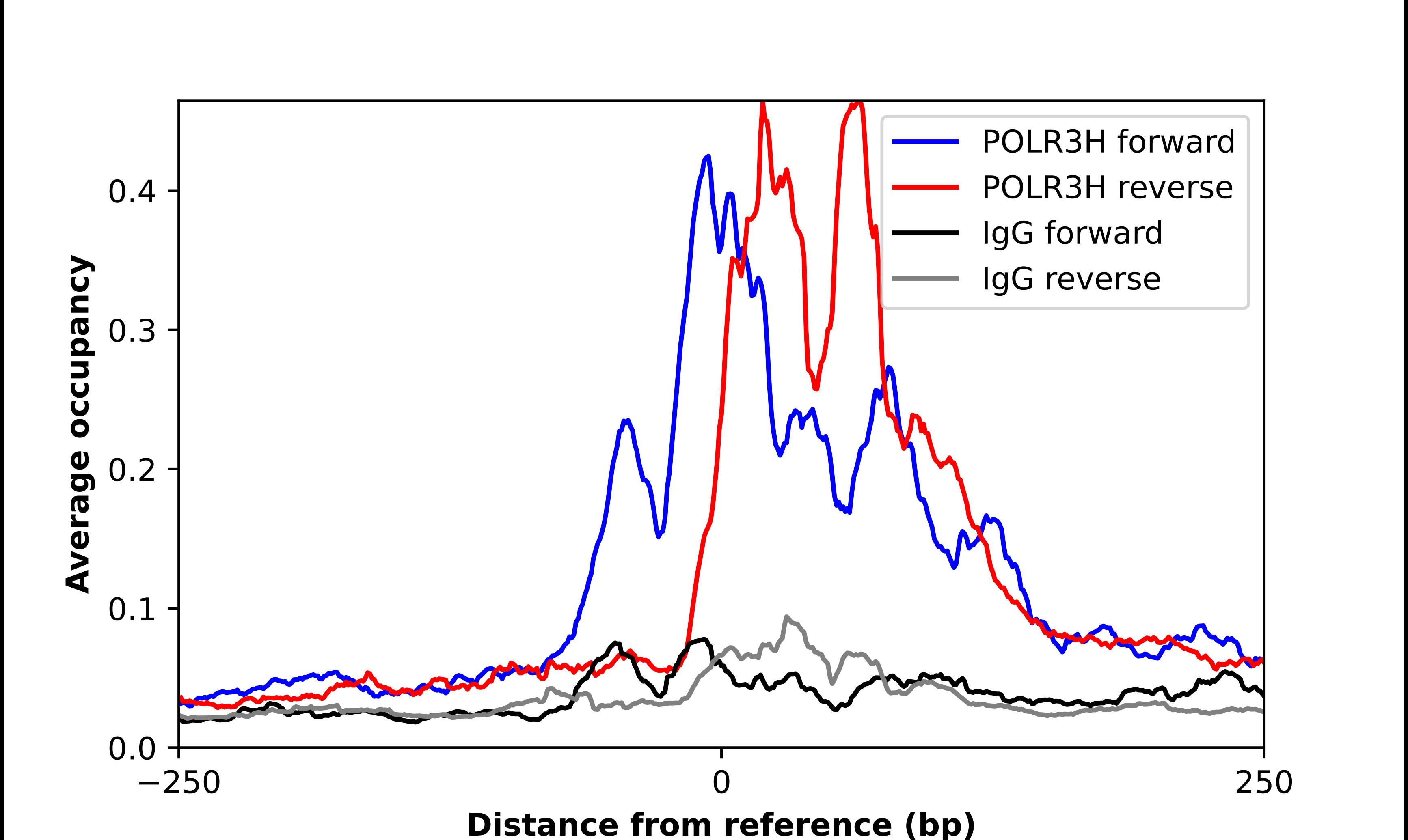 POLR3H Antibody - BSA Free Chromatin Immunoprecipitation ChIP: POLR3H Antibody - BSA Free