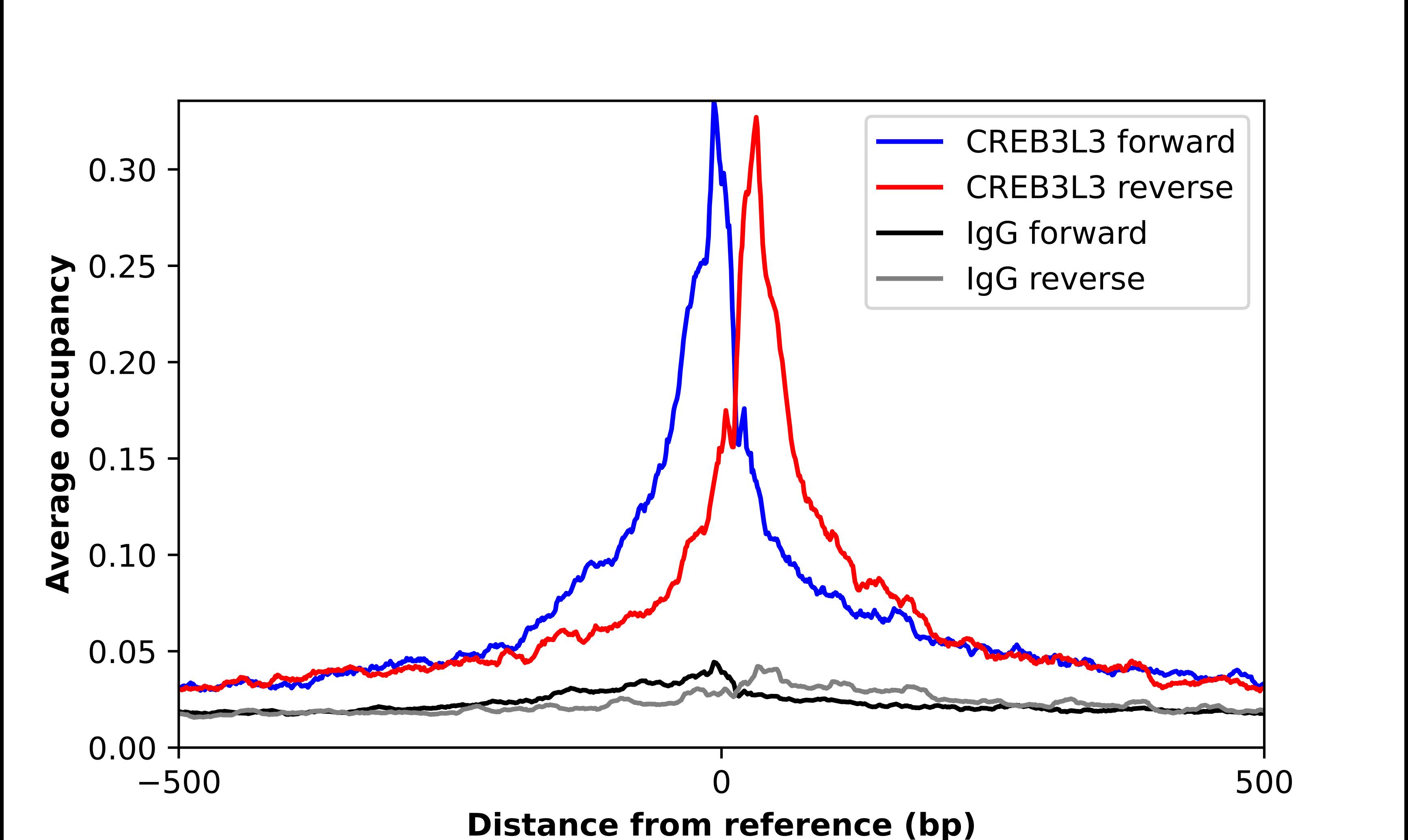 CREB3L3 Antibody - BSA Free Chromatin Immunoprecipitation-exo-Seq: CREB3L3 Antibody - BSA Free [NBP2-13873]