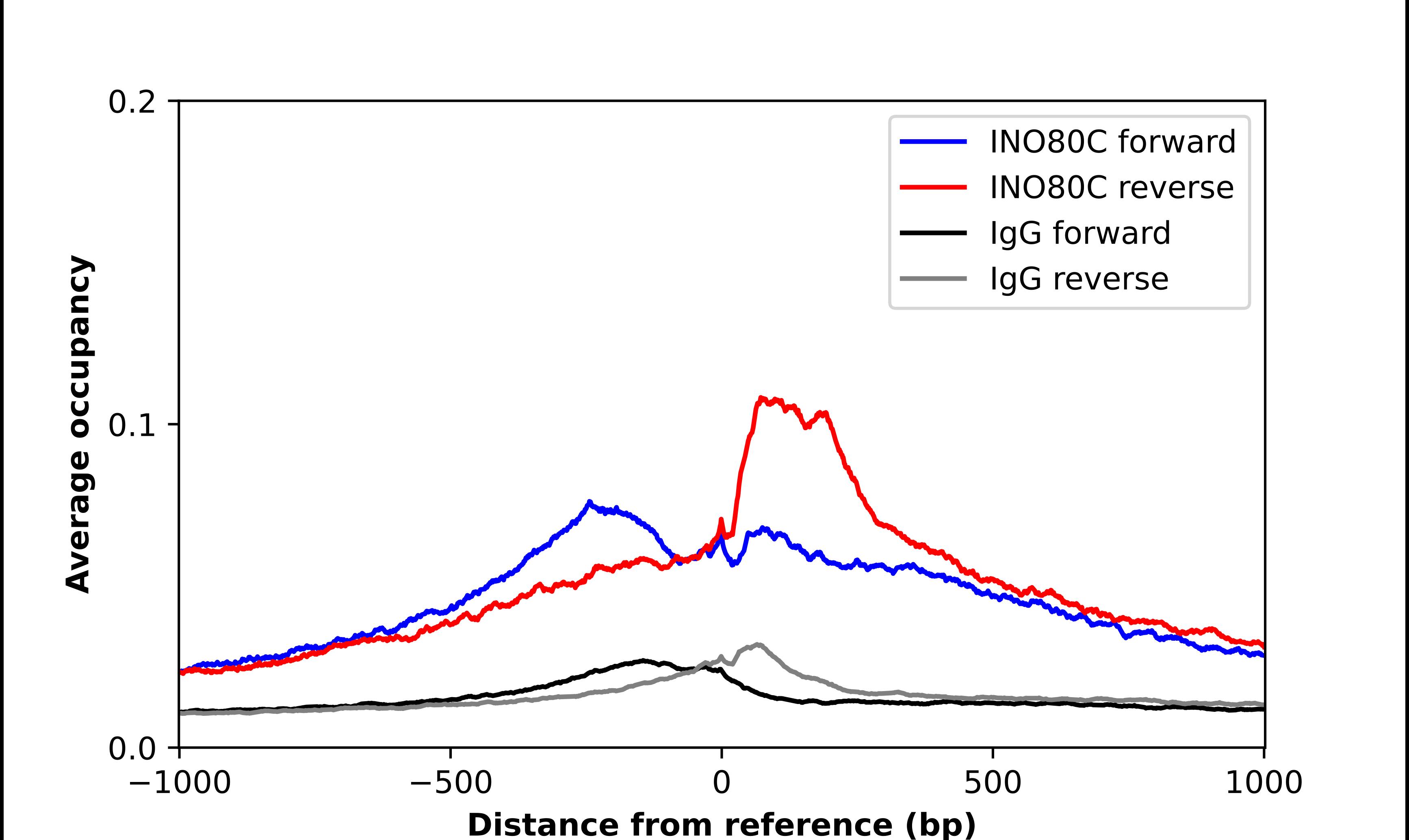 INO80C Antibody - BSA Free Chromatin Immunoprecipitation-exo-Seq: INO80C Antibody - BSA Free [NBP2-14123]