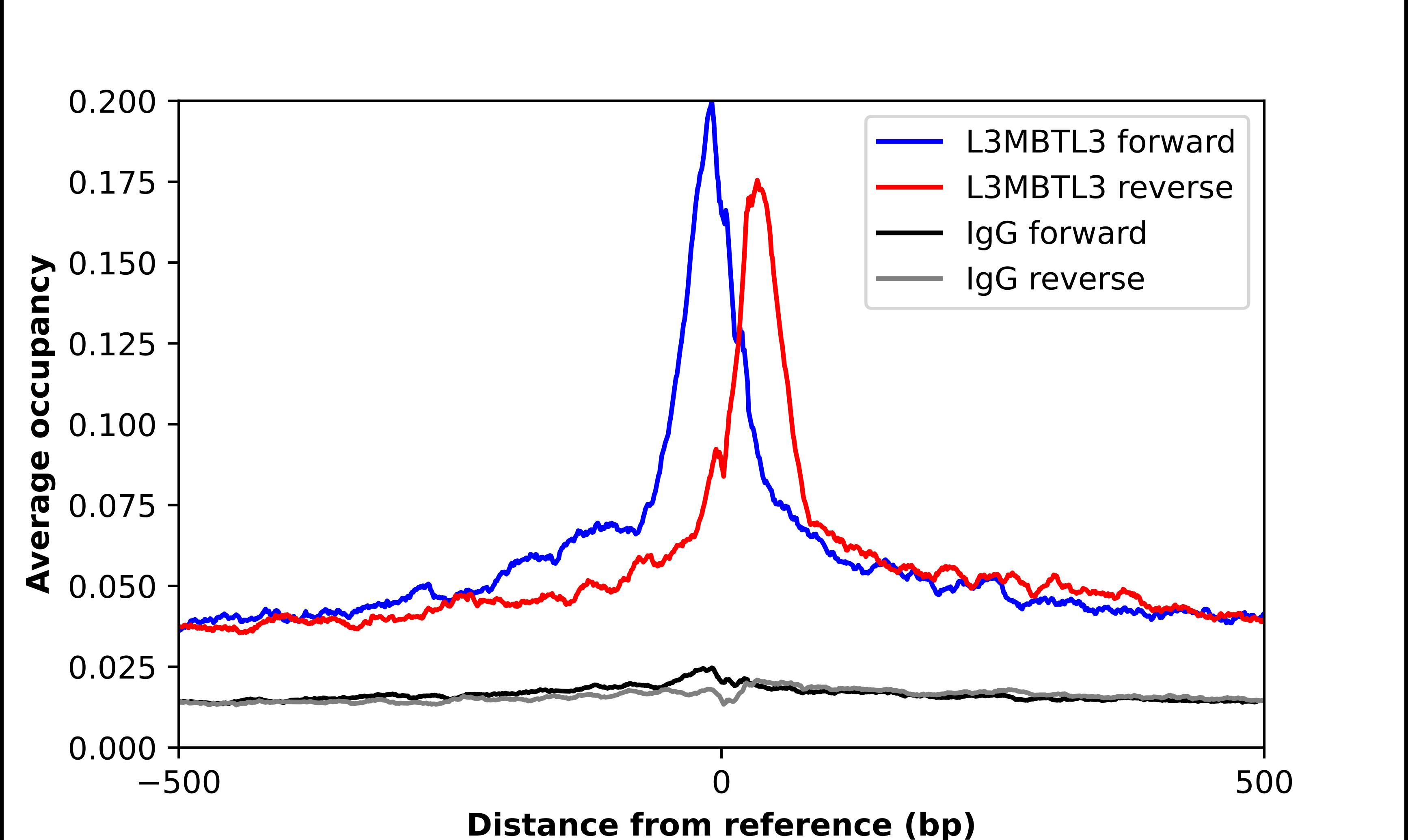 L3MBTL3 Antibody - BSA Free Chromatin Immunoprecipitation ChIP: L3MBTL3 Antibody - BSA Free