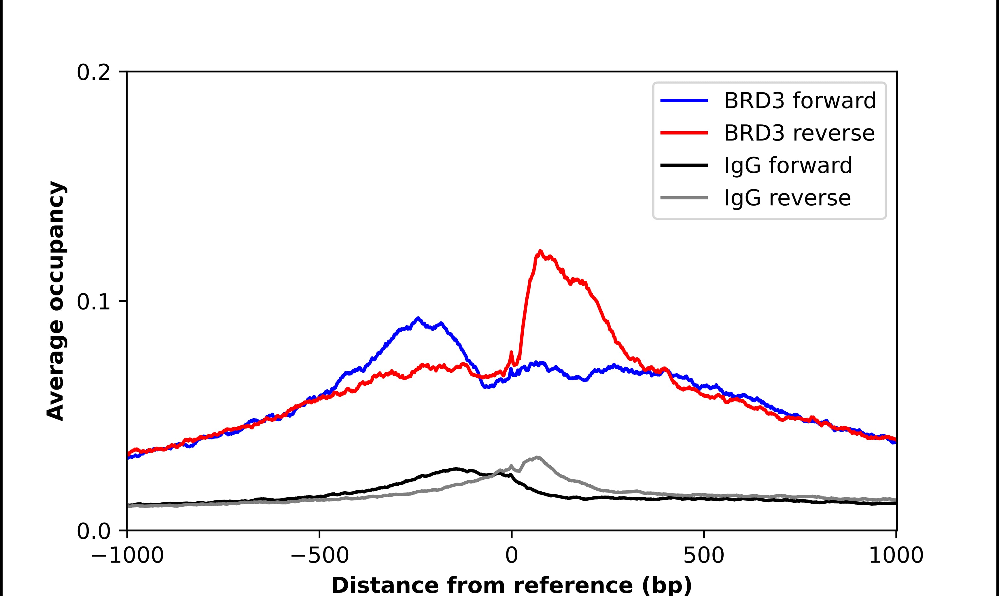 BRD3 Antibody - BSA Free Chromatin Immunoprecipitation-exo-Seq: BRD3 Antibody - BSA Free [NBP2-14360]