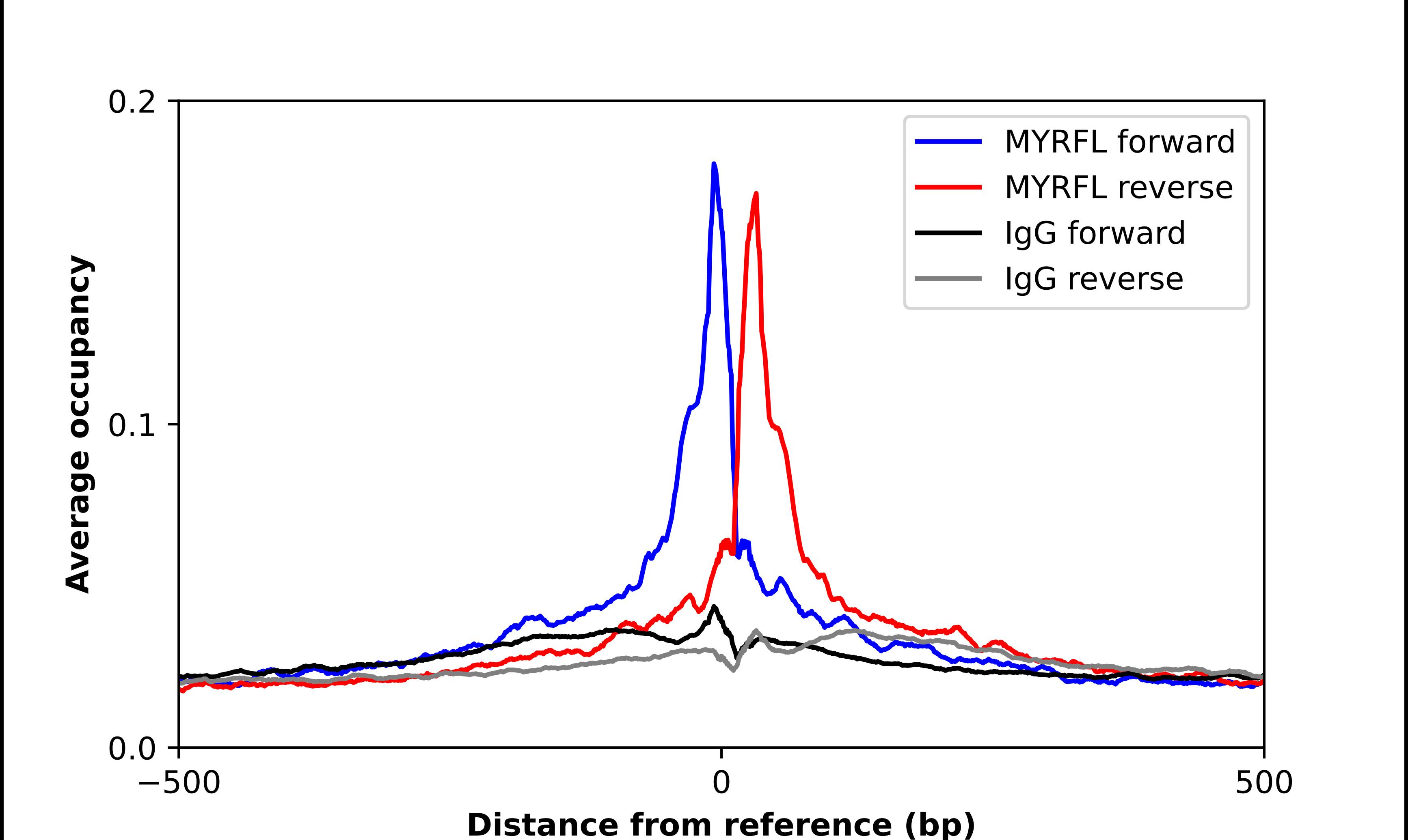 MYRFL Antibody - BSA Free Chromatin Immunoprecipitation ChIP: MYRFL Antibody - BSA Free