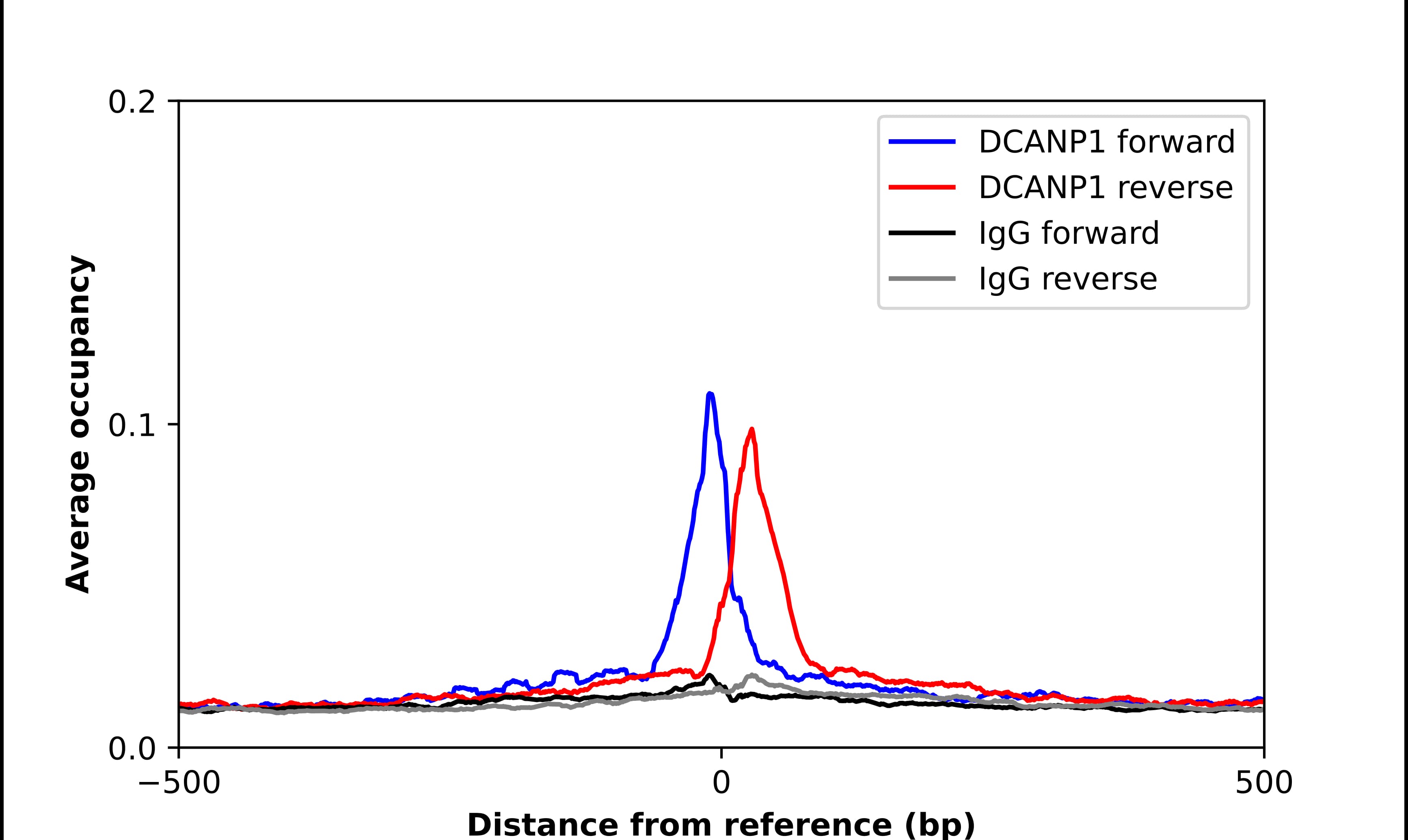 DCNP1 Antibody - BSA Free Chromatin Immunoprecipitation ChIP: DCNP1 Antibody - BSA Free