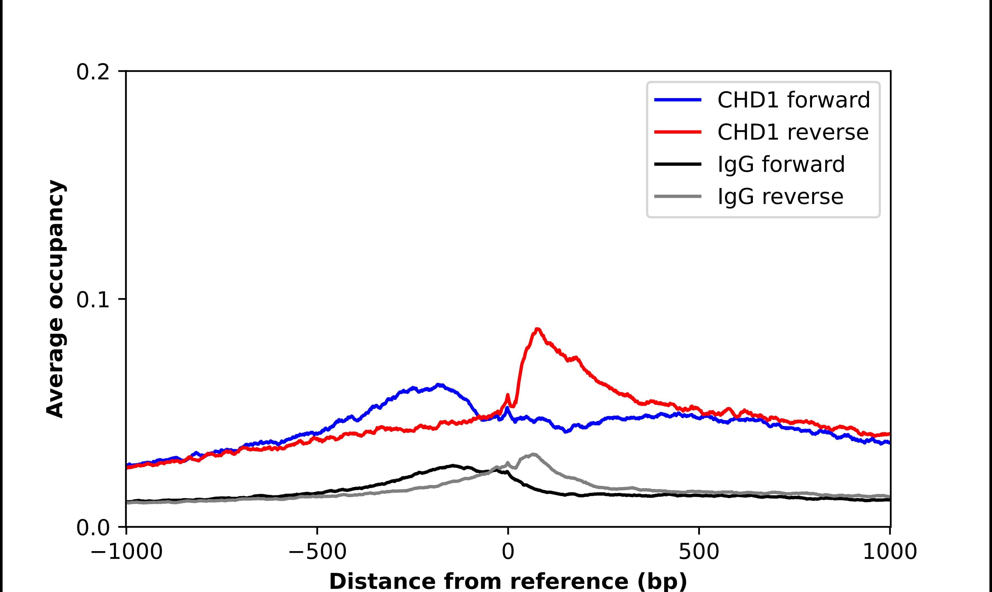 CHD1 Antibody - BSA Free Chromatin Immunoprecipitation-exo-Seq: CHD1 Antibody - BSA Free [NBP2-14478]