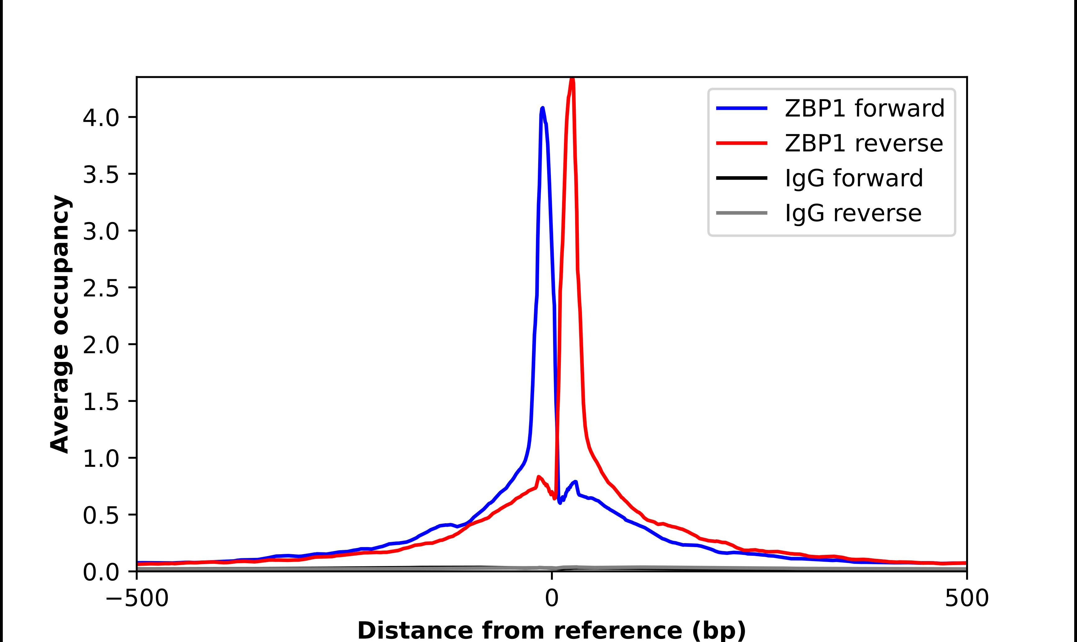 ZBP1/DLM-1/DAI Antibody - BSA Free Chromatin Immunoprecipitation ChIP: ZBP1/DLM-1/DAI Antibody - BSA Free