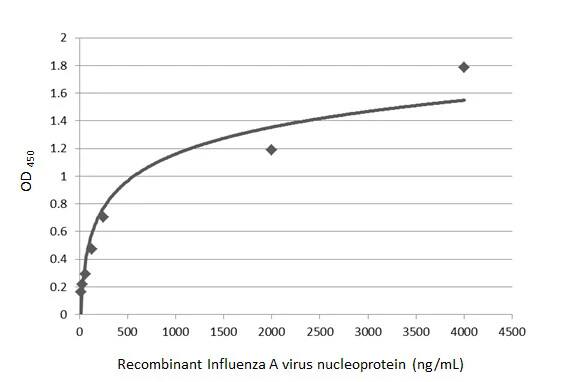 Influenza A H1N1 Nucleoprotein Antibody - (A/WSN/1933)