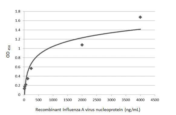 Influenza A H1N1 Nucleoprotein Antibody - (A/WSN/1933) - BSA Free