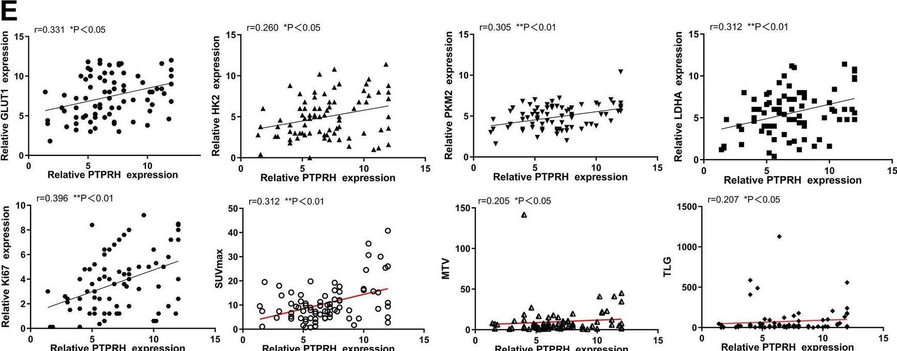 PTPRH Antibody - BSA Free
