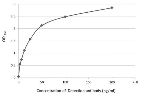 HA Tag Antibody