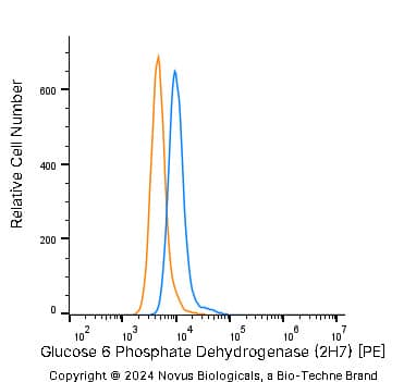 Glucose 6 Phosphate Dehydrogenase Antibody (2H7) [PE]