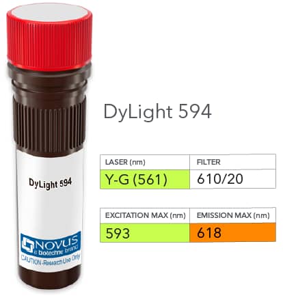 pan Actin Antibody (5J11) [DyLight 594]