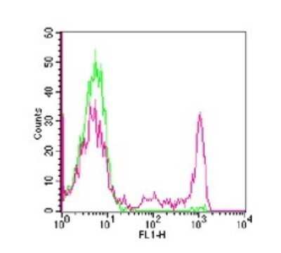 CD8 Antibody (RPA-T8) - Azide and BSA Free