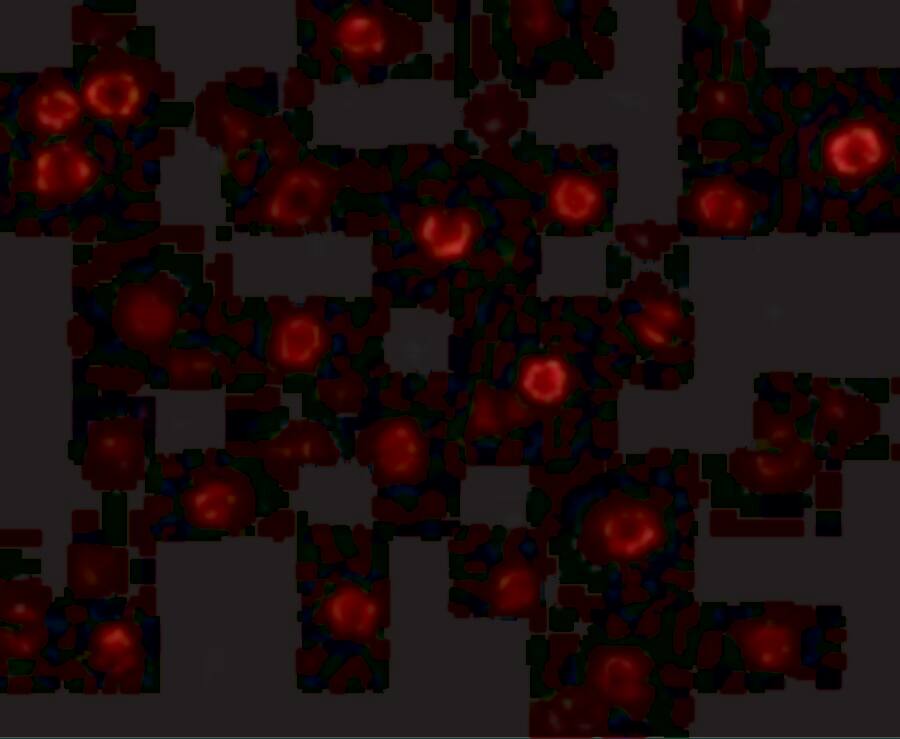 Cadherin-13 Antibody - BSA Free