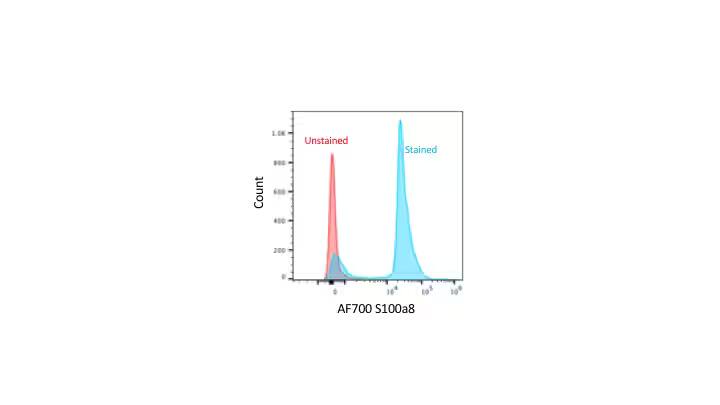 S100A8 Antibody (63N13G5) - BSA Free