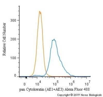 Cytokeratin, pan Antibody (AE-1/AE-3)