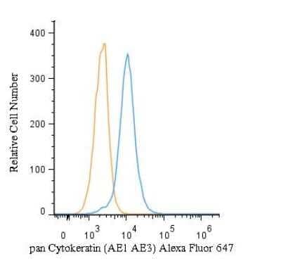 Cytokeratin, pan Antibody (AE-1/AE-3)