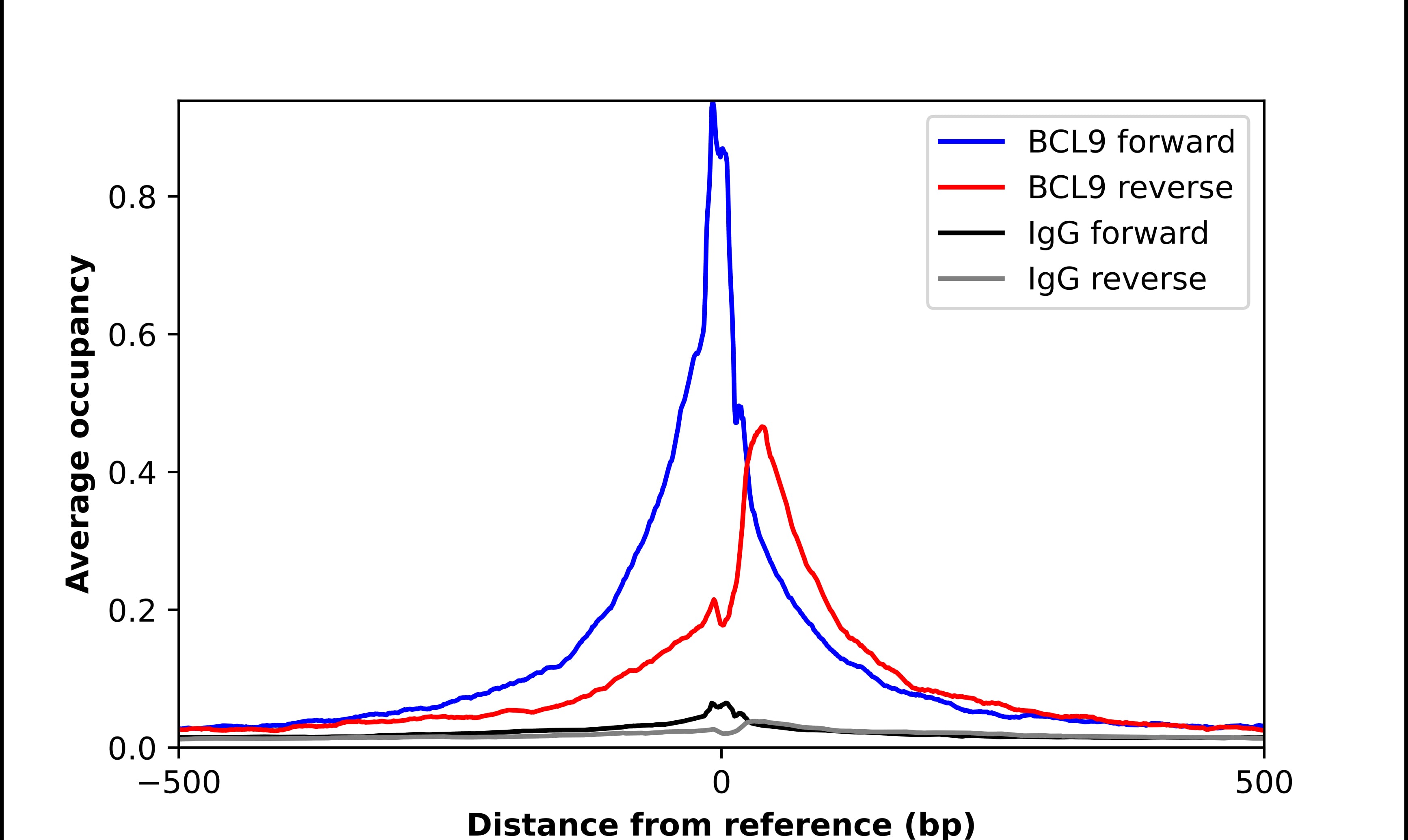 Bcl-9 Antibody - BSA Free Chromatin Immunoprecipitation ChIP: Bcl-9 Antibody - BSA Free