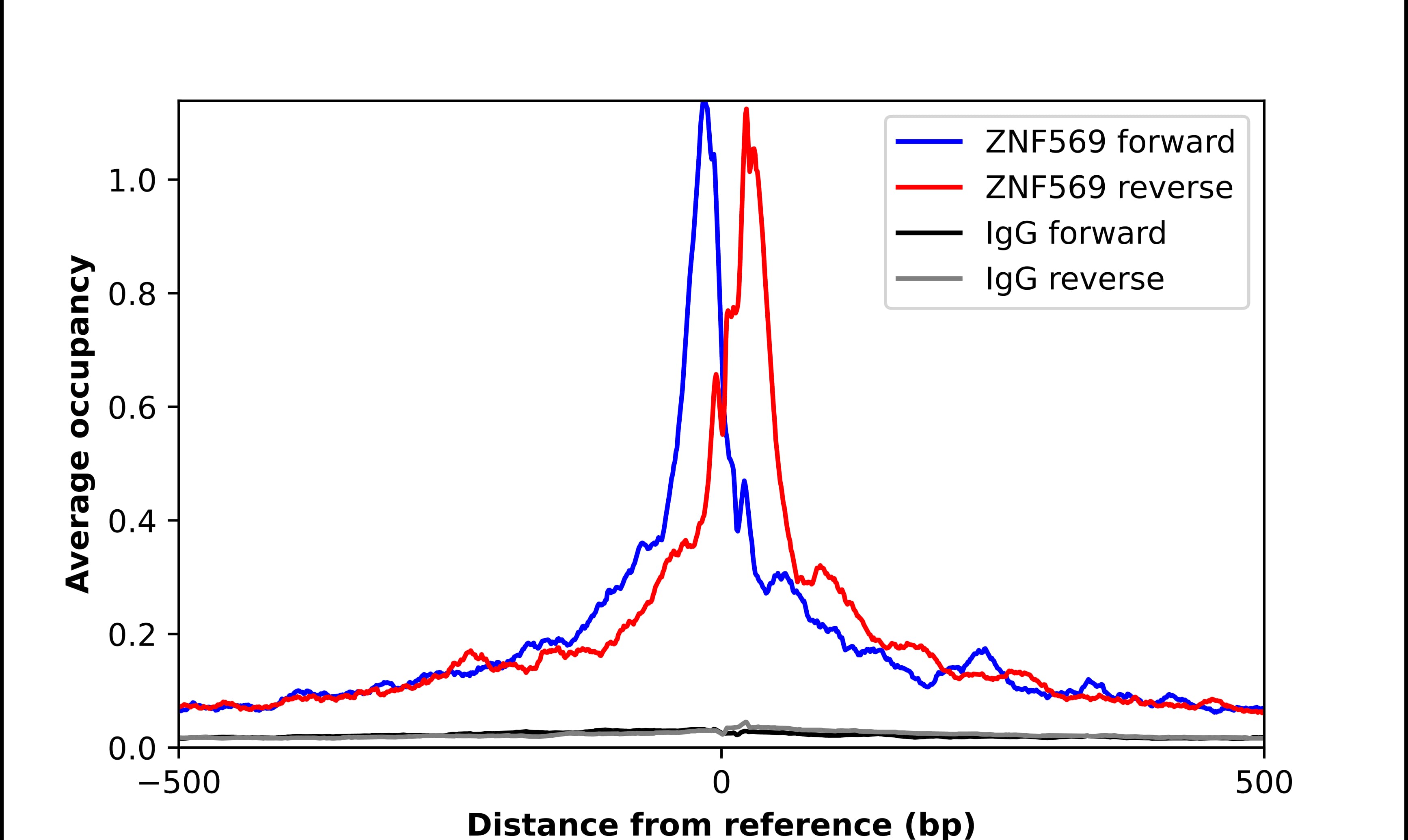 ZNF569 Antibody - BSA Free Chromatin Immunoprecipitation-exo-Seq: ZNF569 Antibody - BSA Free [NBP2-30747]