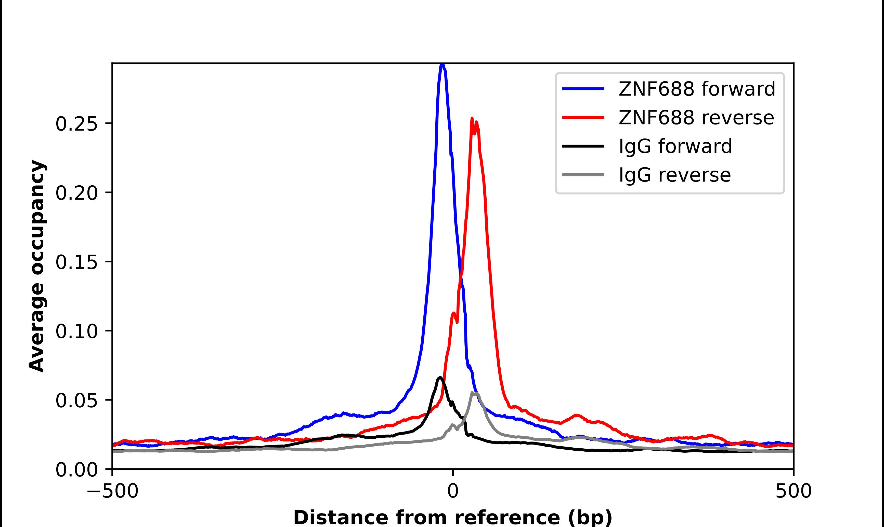 ZNF688 Antibody - BSA Free Chromatin Immunoprecipitation ChIP: ZNF688 Antibody - BSA Free