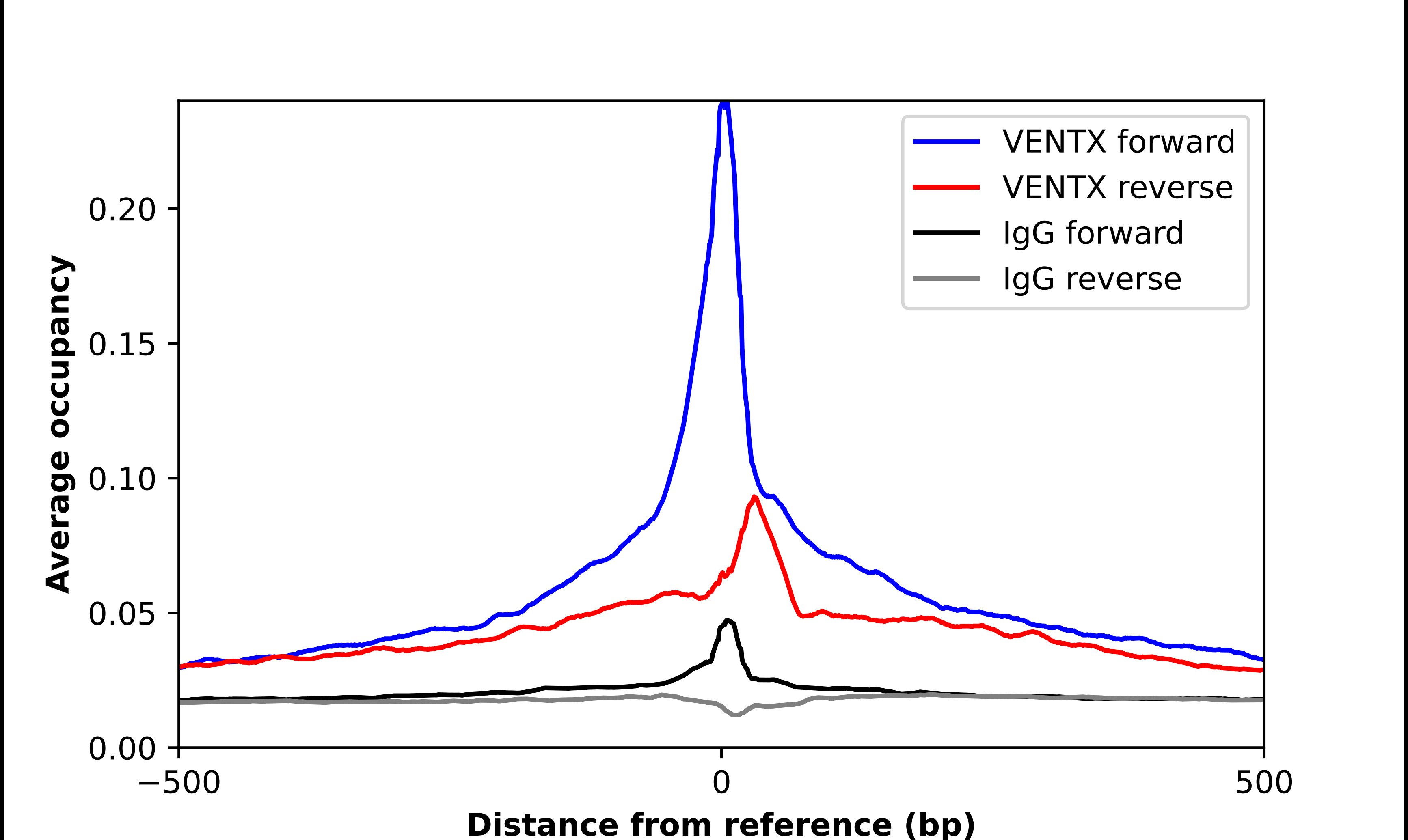 VENTX Antibody - BSA Free Chromatin Immunoprecipitation ChIP: VENTX Antibody - BSA Free