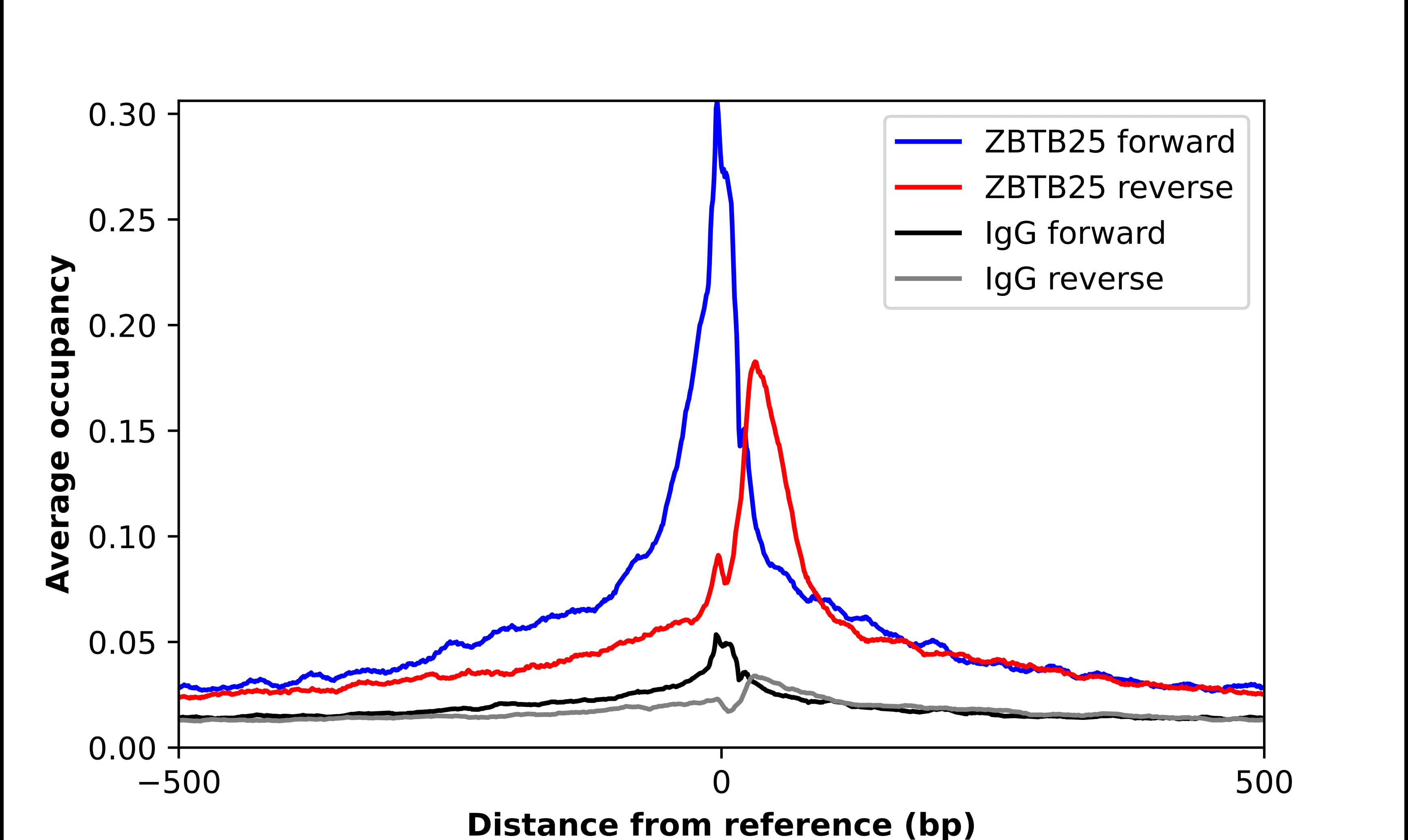 ZBTB25 Antibody - BSA Free Chromatin Immunoprecipitation ChIP: ZBTB25 Antibody - BSA Free