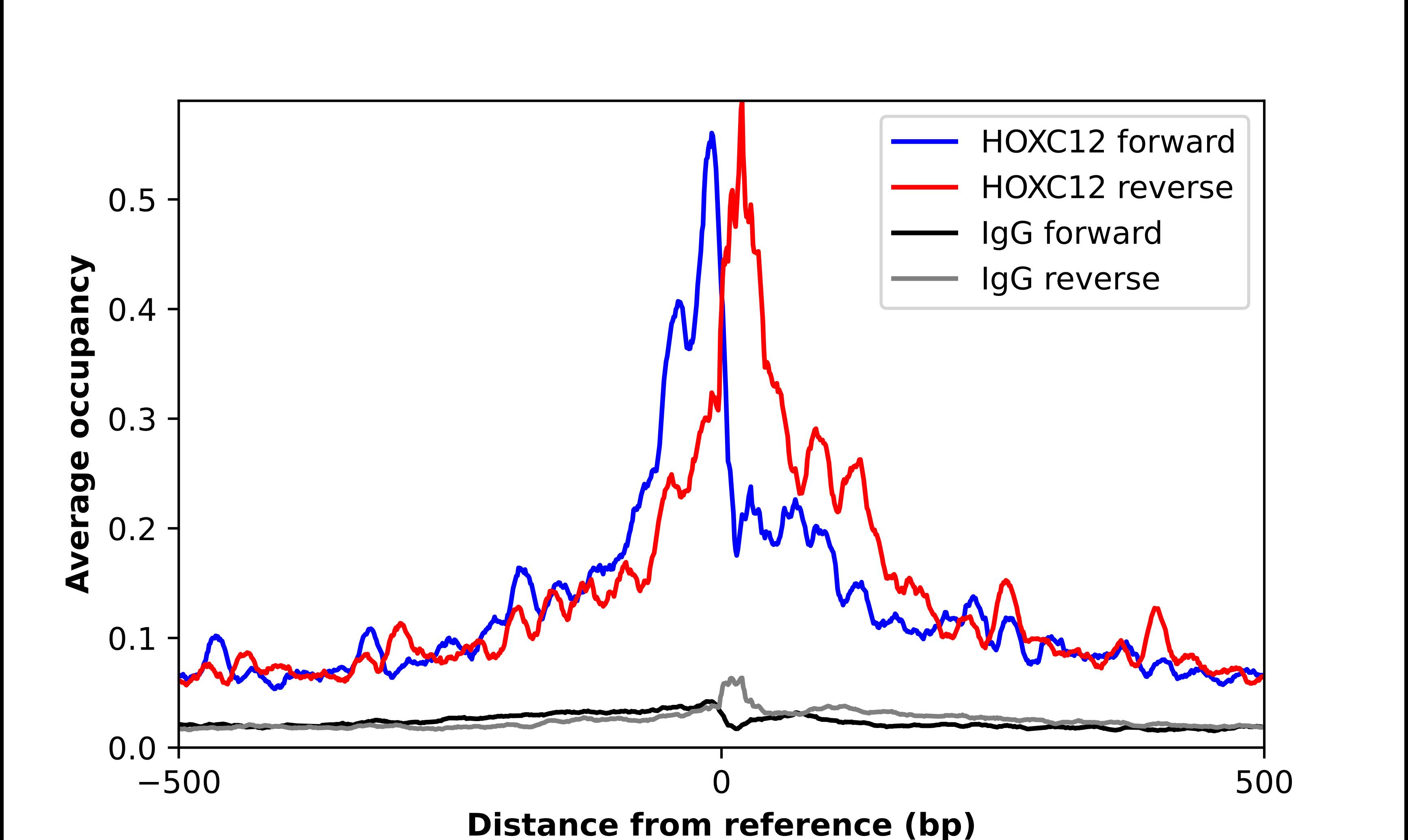 HOXC12 Antibody - BSA Free Chromatin Immunoprecipitation ChIP: HOXC12 Antibody - BSA Free