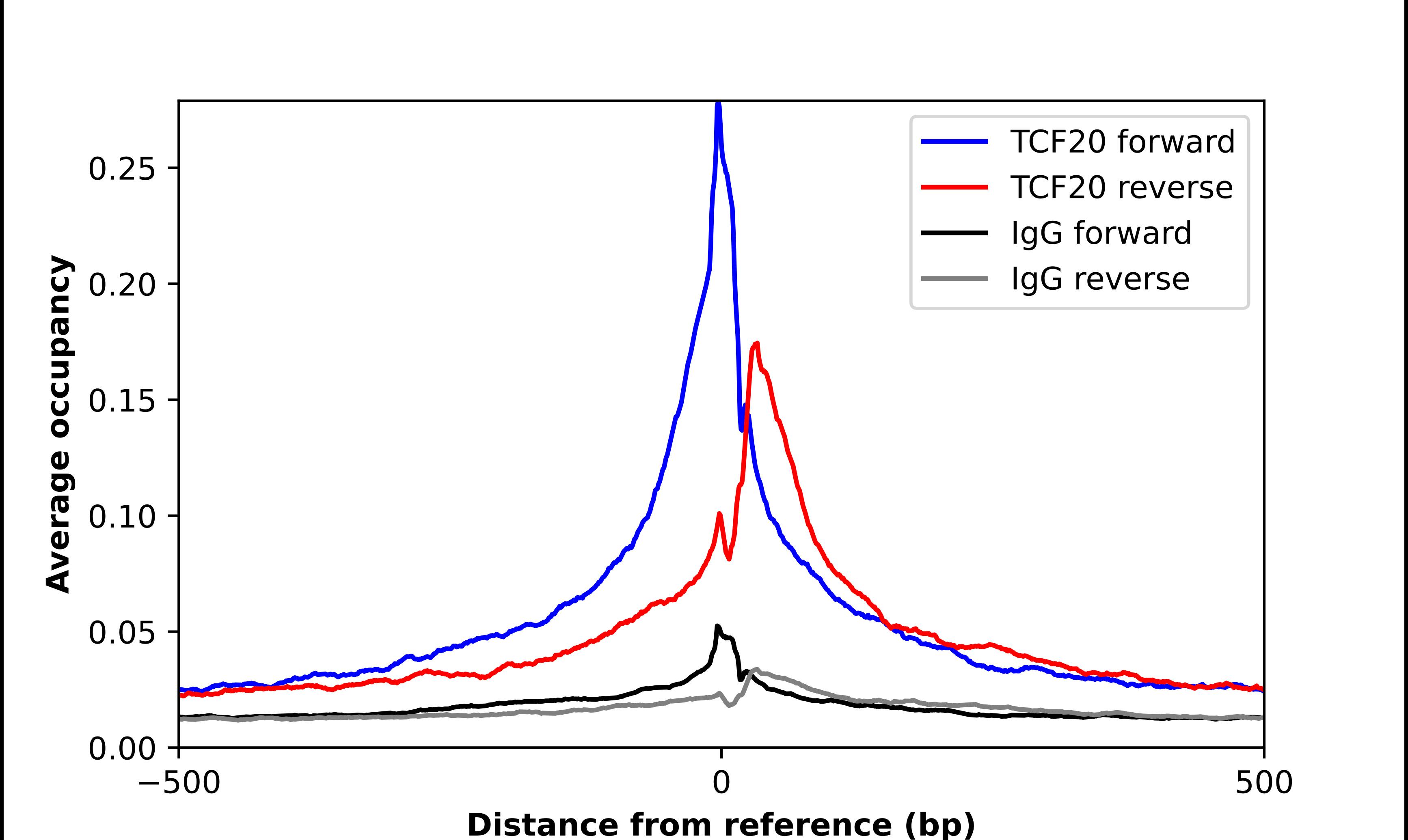 TCF20 Antibody - BSA Free Chromatin Immunoprecipitation ChIP: TCF20 Antibody - BSA Free