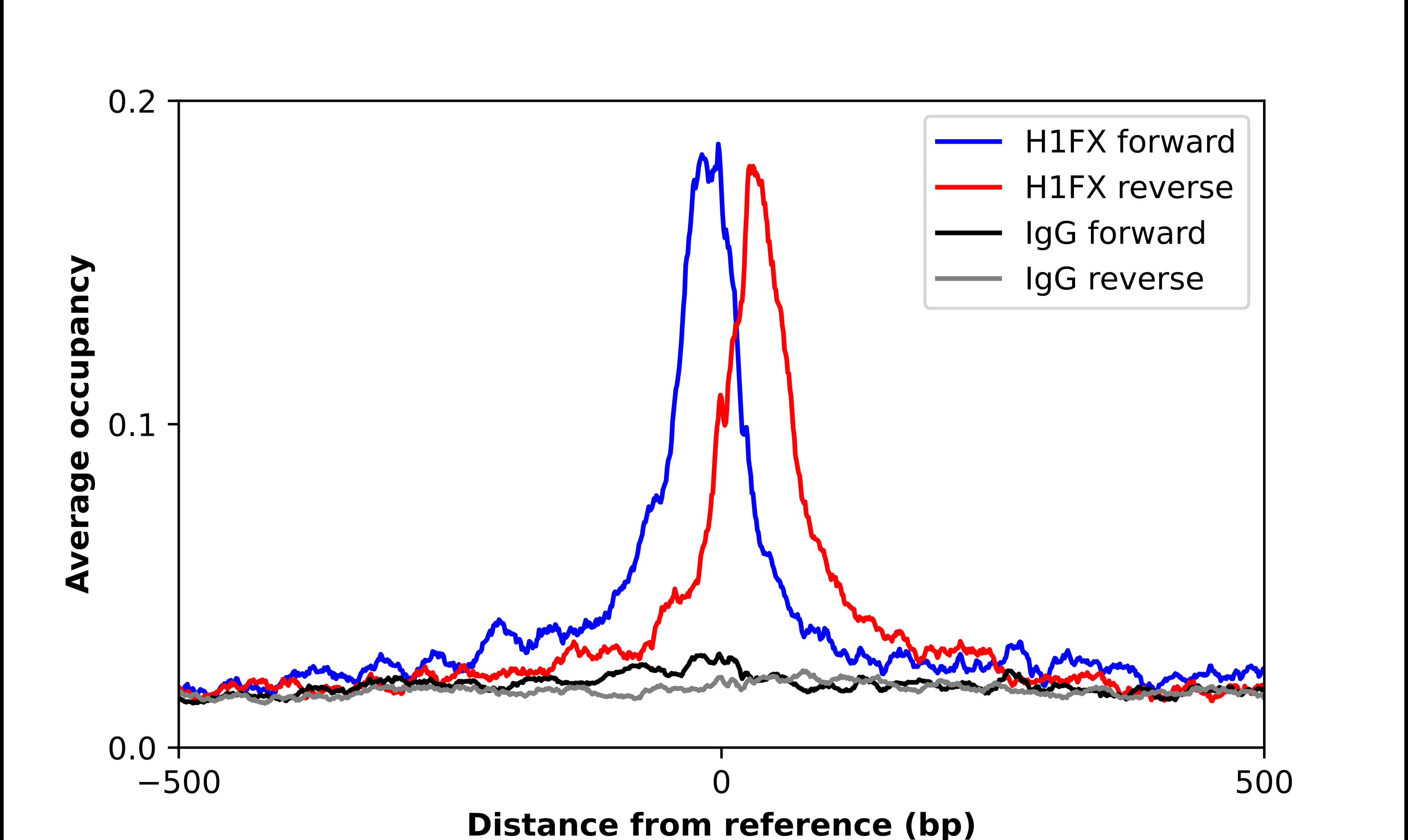 H1FX Antibody - BSA Free Chromatin Immunoprecipitation ChIP: H1FX Antibody - BSA Free