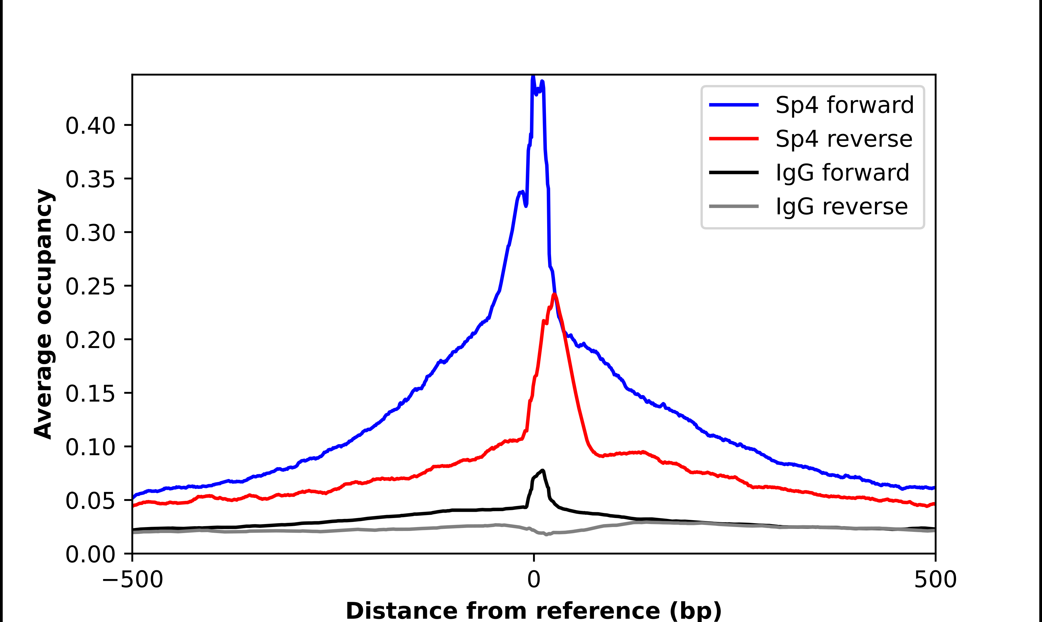 SP4 Antibody - BSA Free Chromatin Immunoprecipitation-exo-Seq: SP4 Antibody - BSA Free [NBP2-31983]
