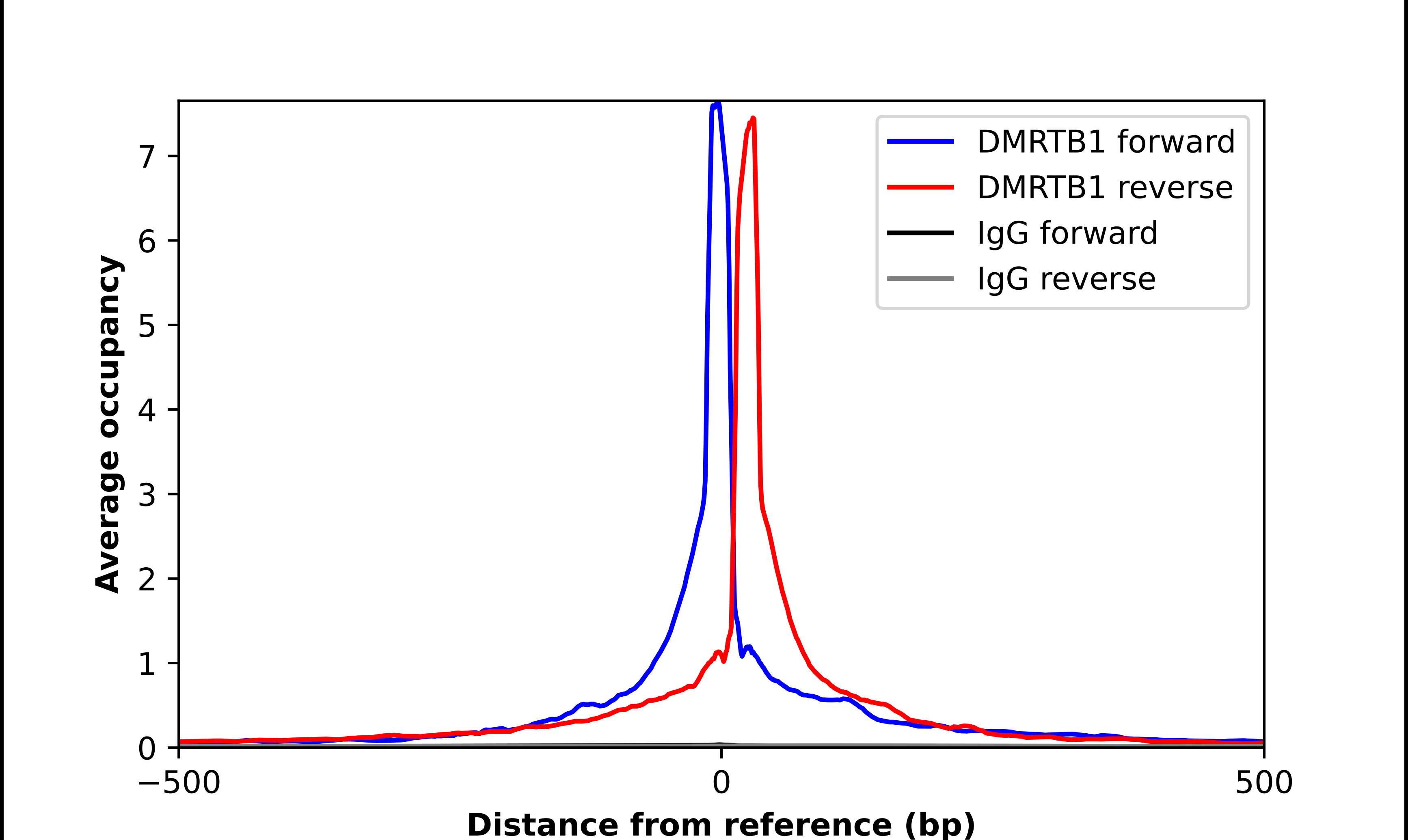 DMRTB1 Antibody - BSA Free Chromatin Immunoprecipitation-exo-Seq: DMRTB1 Antibody - BSA Free [NBP2-32390]