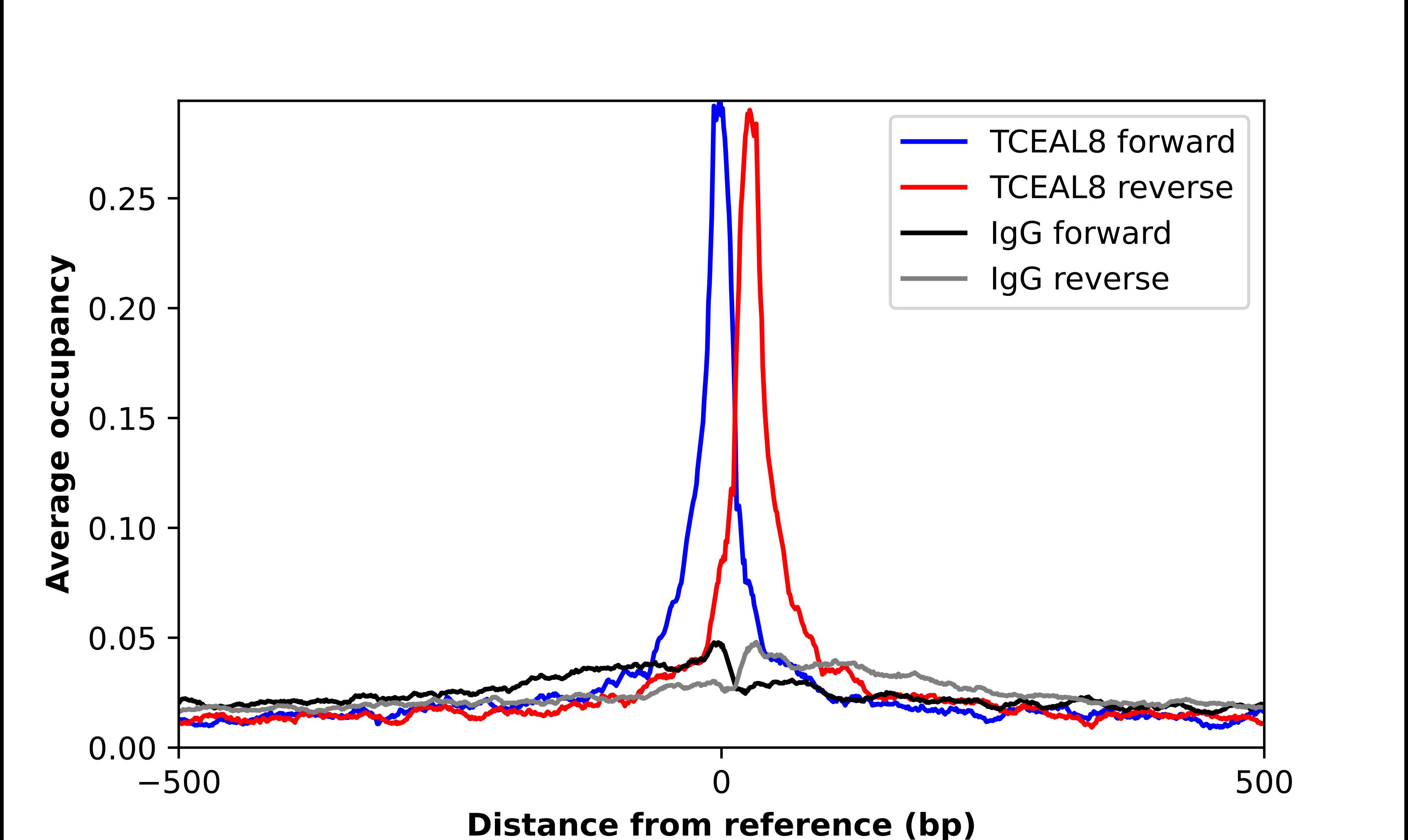 TCEAL8 Antibody - BSA Free Chromatin Immunoprecipitation-exo-Seq: TCEAL8 Antibody - BSA Free [NBP2-32425]