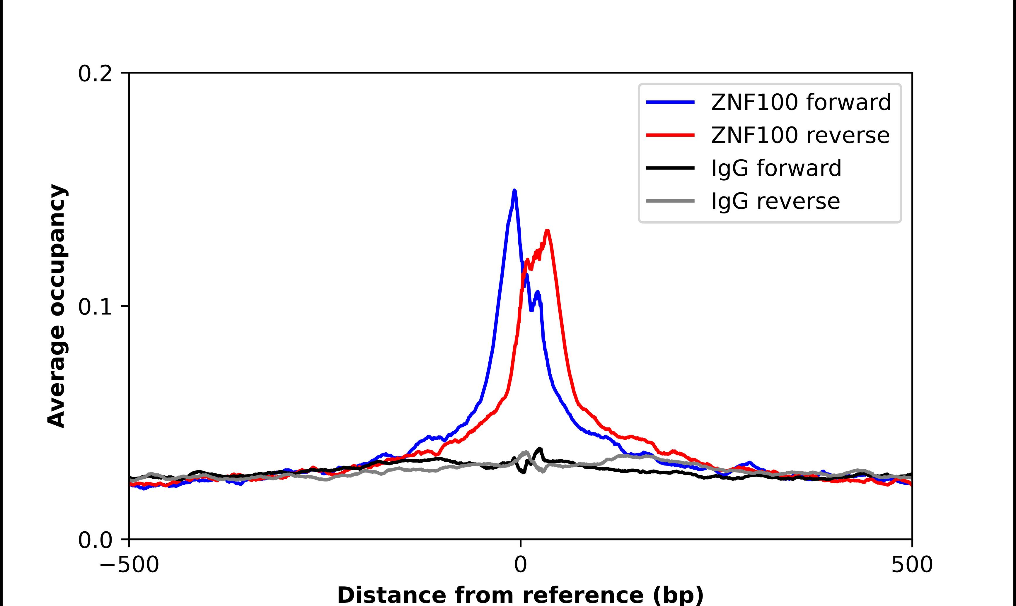 ZNF100 Antibody - BSA Free Chromatin Immunoprecipitation ChIP: ZNF100 Antibody - BSA Free