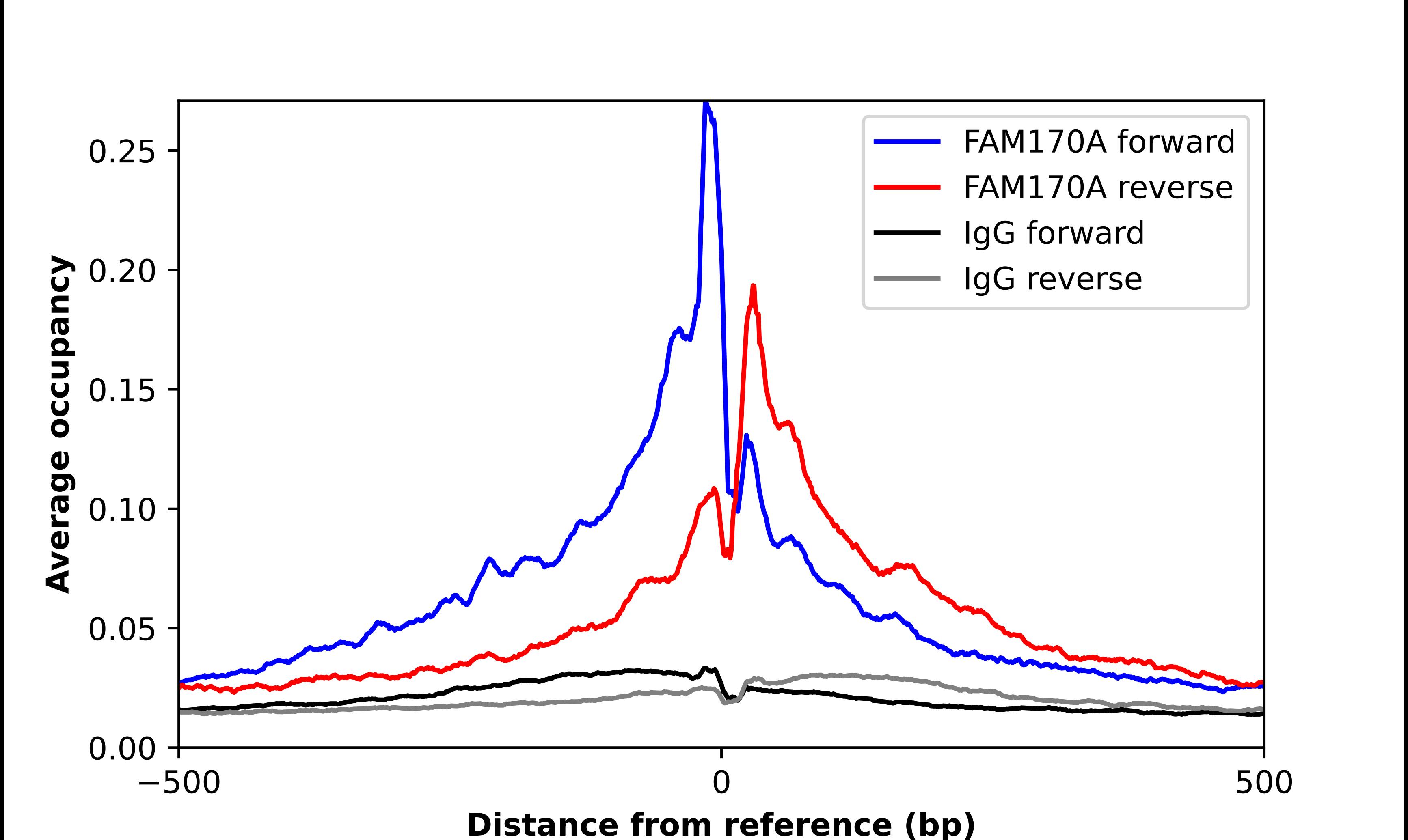 FAM170A Antibody - BSA Free Chromatin Immunoprecipitation ChIP: FAM170A Antibody - BSA Free