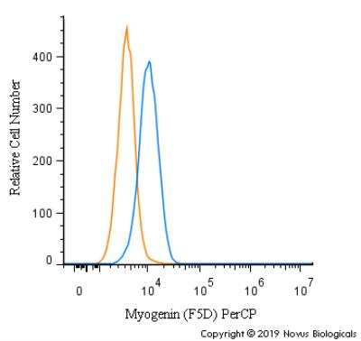 Myogenin Antibody (F5D)
