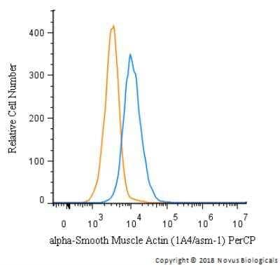 alpha-Smooth Muscle Actin Antibody (1A4/asm-1) - BSA Free