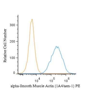 alpha-Smooth Muscle Actin Antibody (1A4/asm-1) - BSA Free