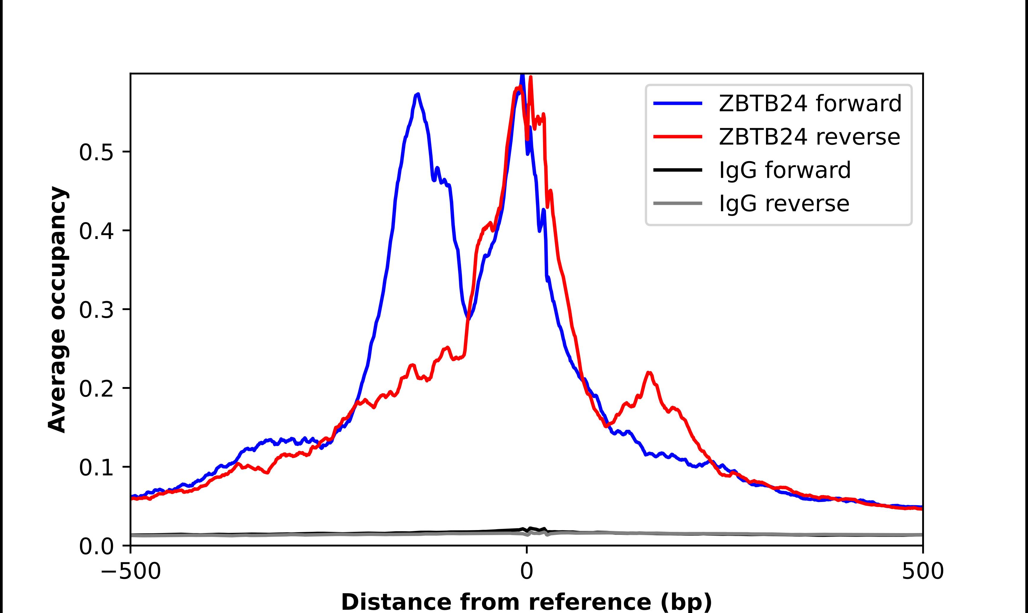 ZBTB24 Antibody - BSA Free Chromatin Immunoprecipitation ChIP: ZBTB24 Antibody - BSA Free