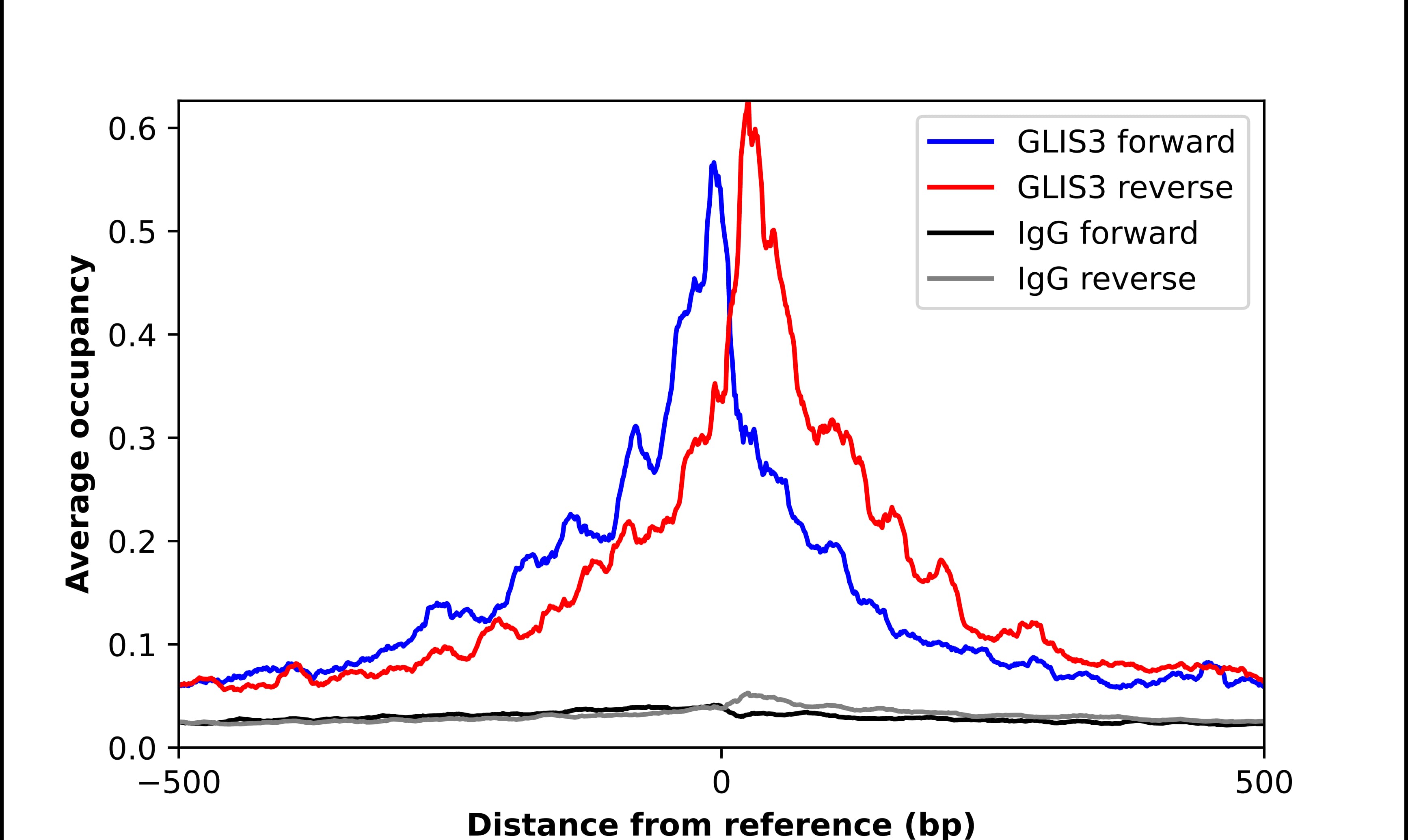 GLIS3 Antibody - BSA Free Chromatin Immunoprecipitation-exo-Seq: GLIS3 Antibody - BSA Free [NBP2-33787]