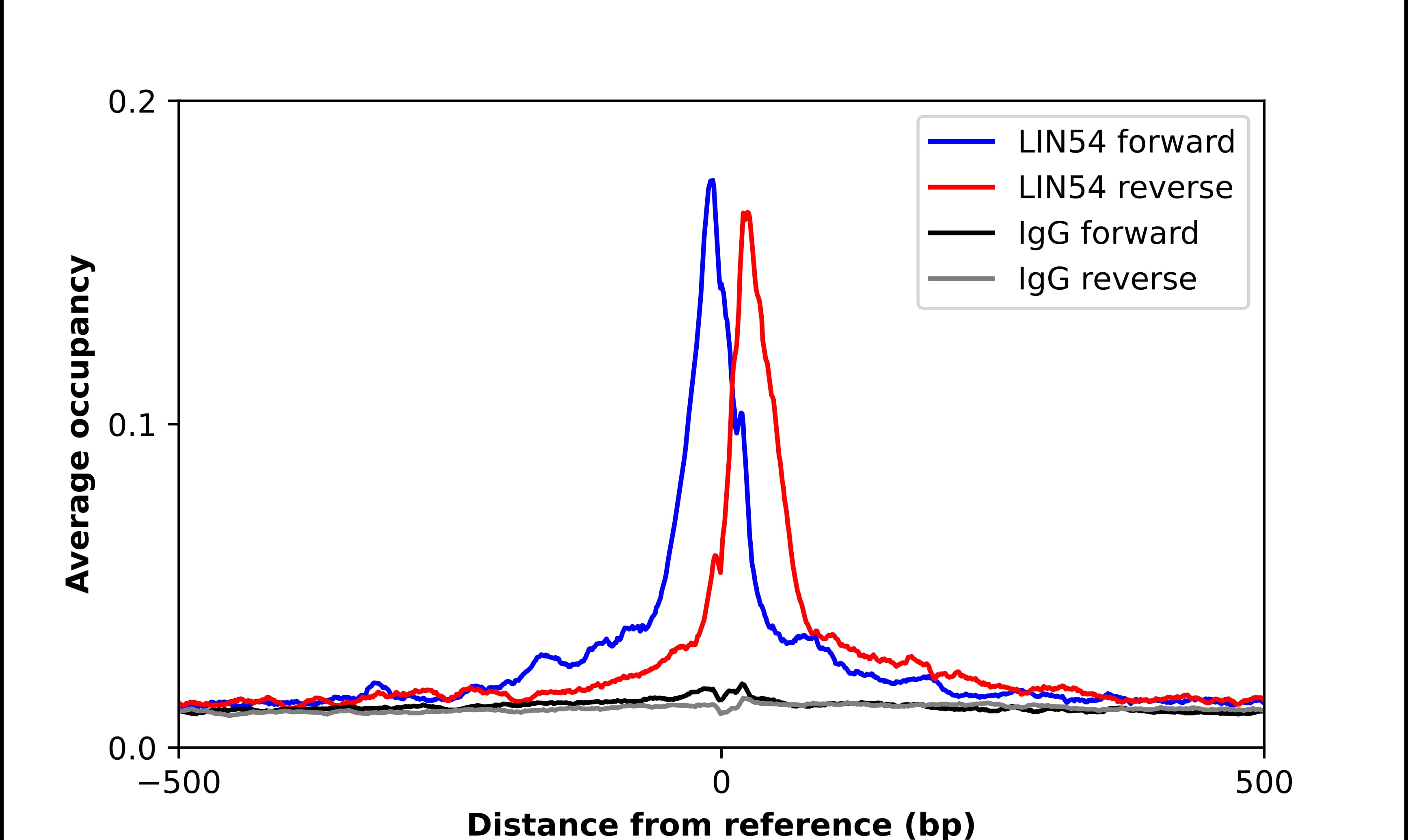 lin-54 Antibody - BSA Free Chromatin Immunoprecipitation ChIP: lin-54 Antibody - BSA Free