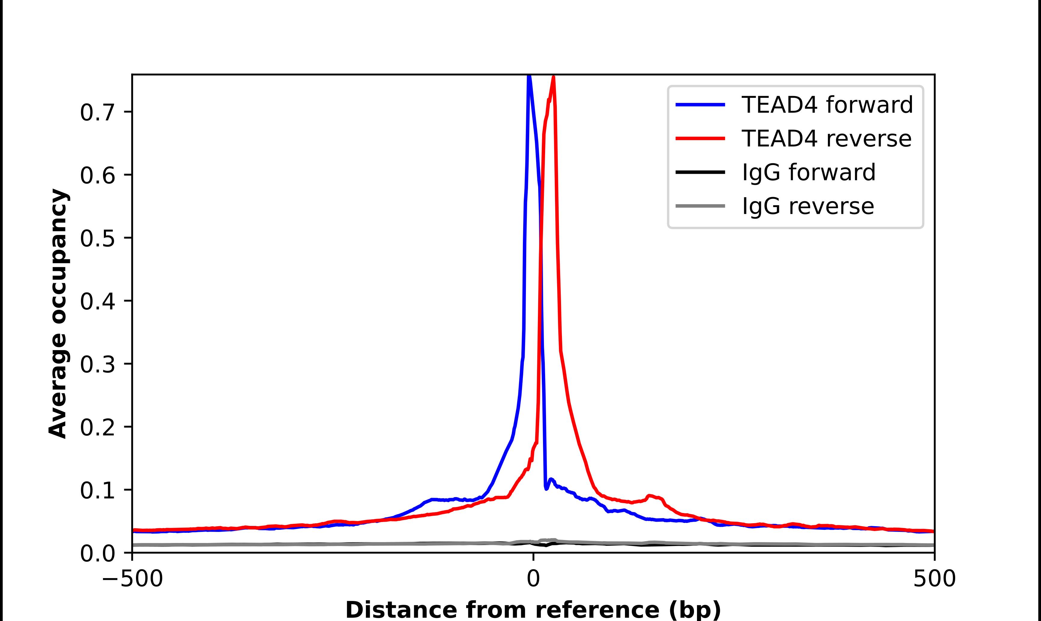 TEAD4 Antibody - BSA Free Chromatin Immunoprecipitation-exo-Seq: TEAD4 Antibody - BSA Free [NBP2-33803]
