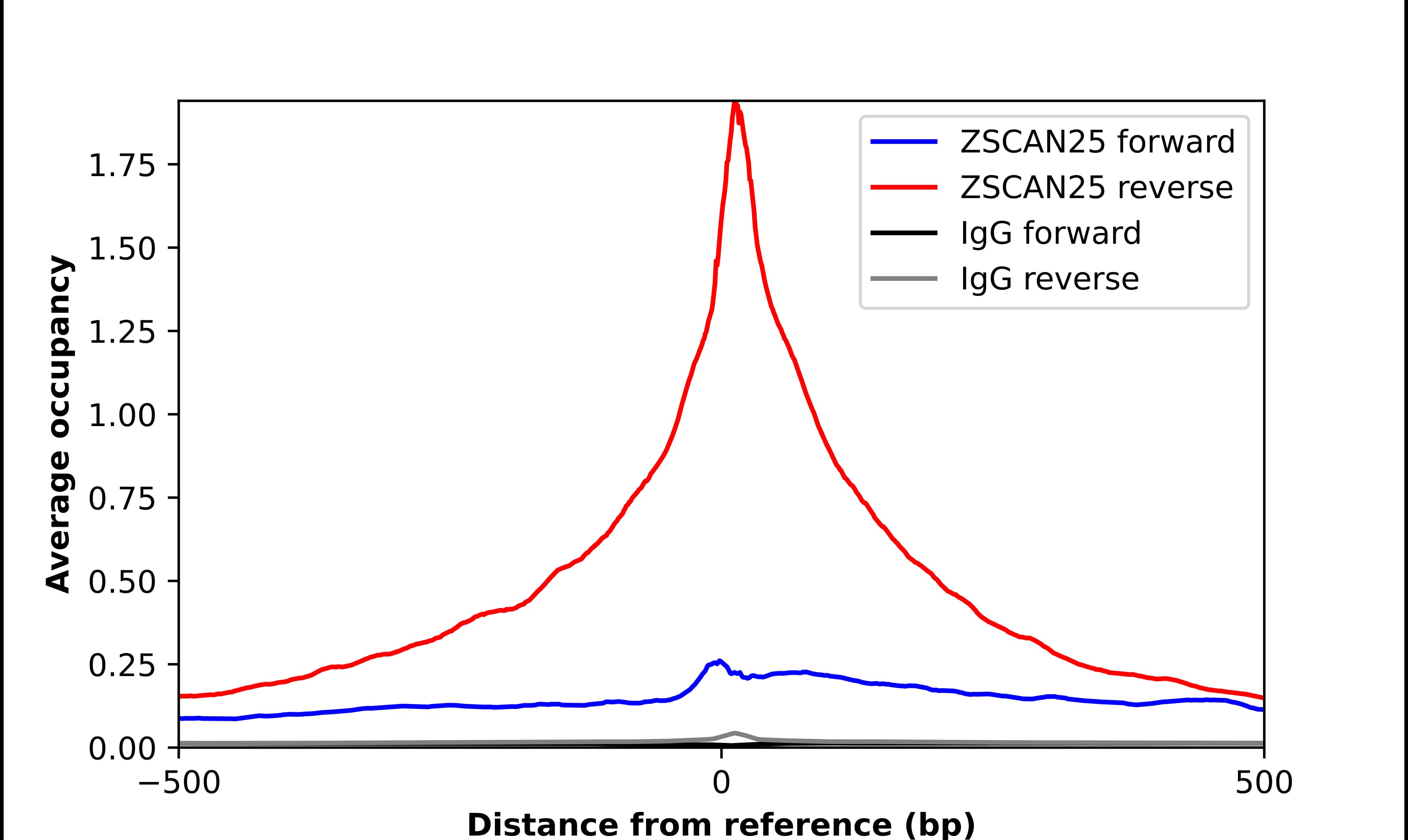 ZNF498 Antibody - BSA Free Chromatin Immunoprecipitation-exo-Seq: ZNF498 Antibody - BSA Free [NBP2-33818]