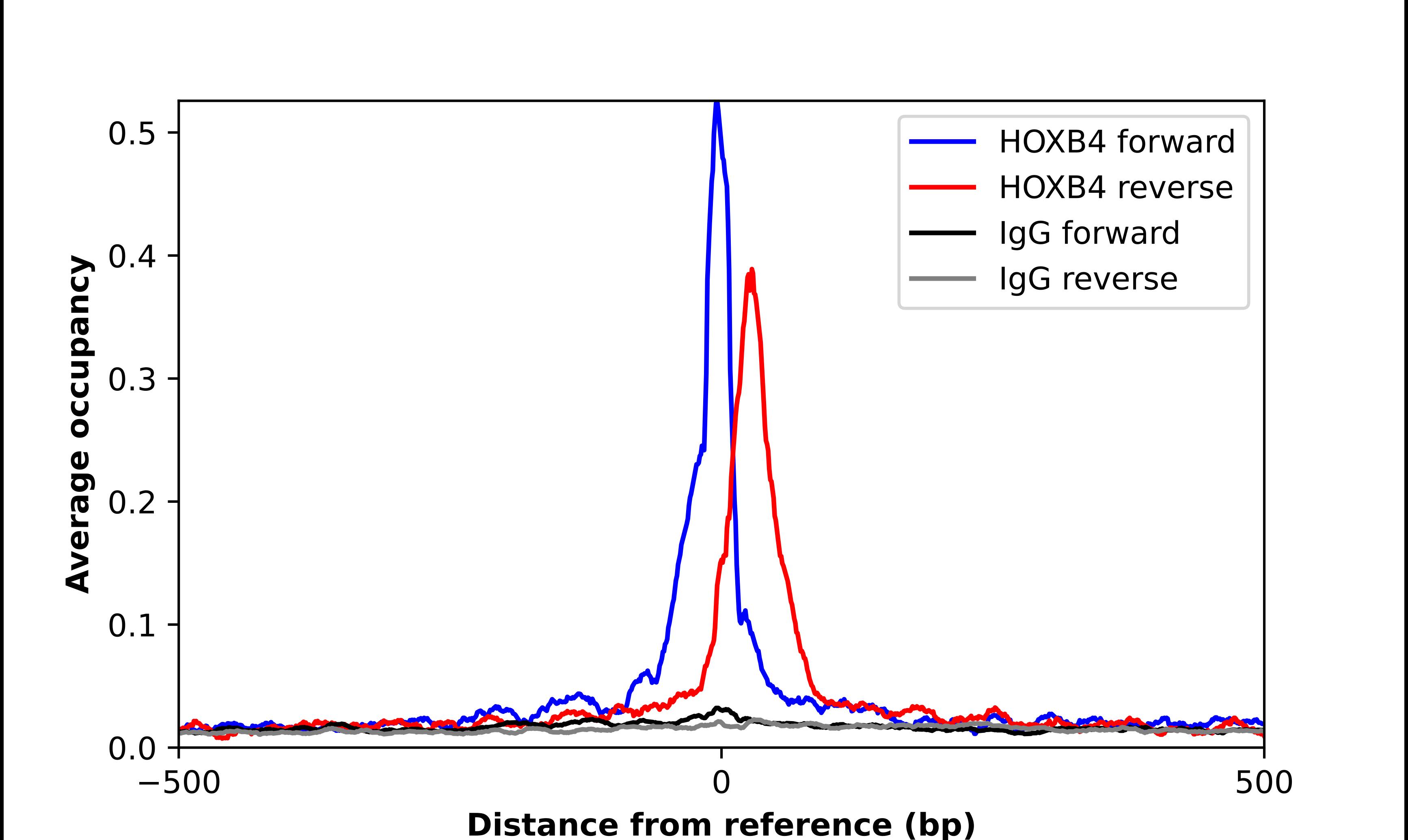 HOXB4 Antibody - BSA Free Chromatin Immunoprecipitation-exo-Seq: HOXB4 Antibody - BSA Free [NBP2-33833]