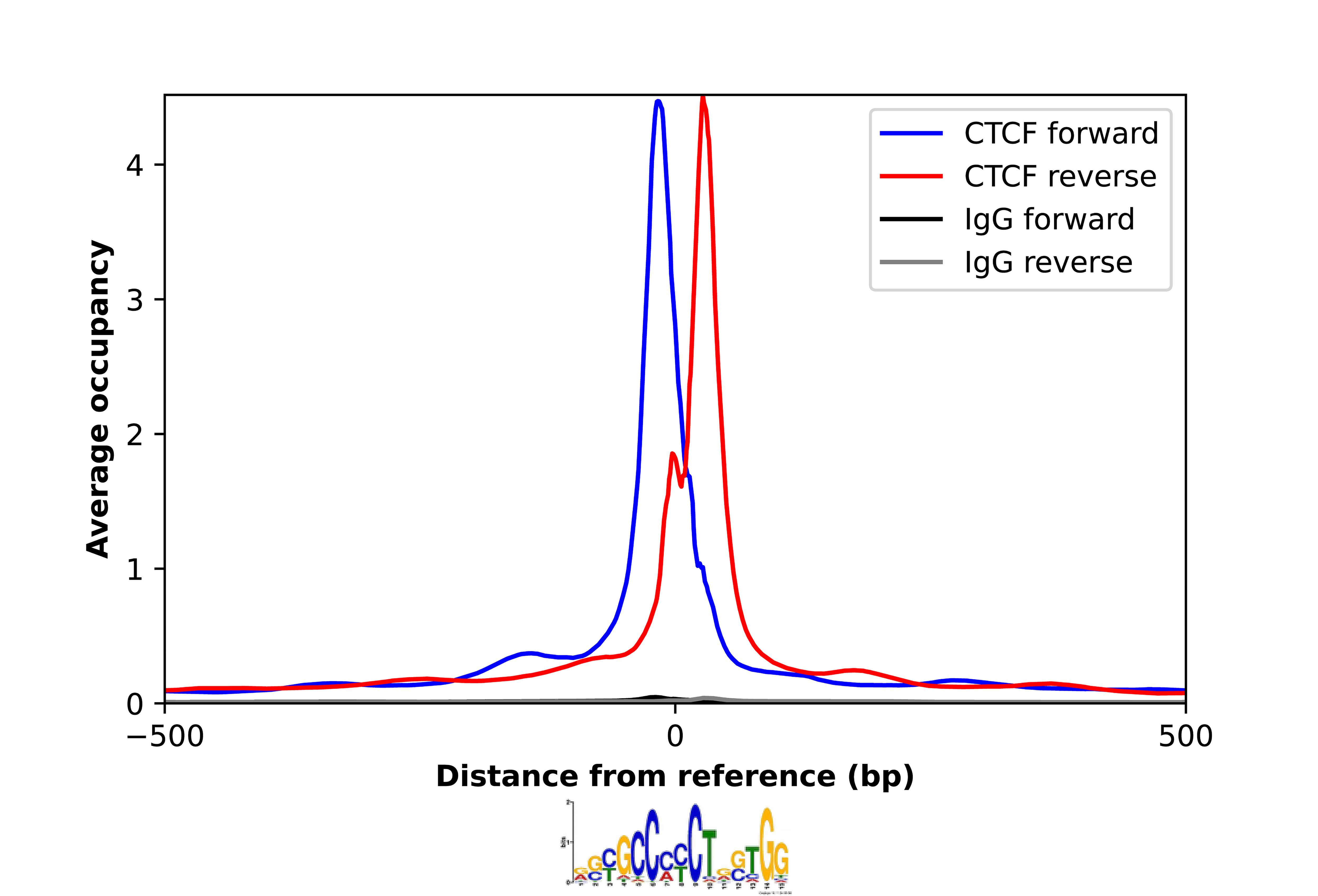 CTCF Antibody - BSA Free Chromatin Immunoprecipitation-exo-Seq: CTCF Antibody - BSA Free [NBP2-33854]