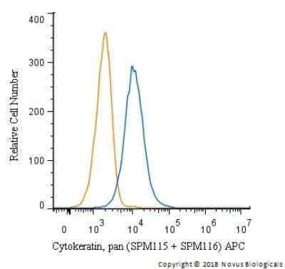 Cytokeratin, pan Antibody (SPM115 + SPM116)