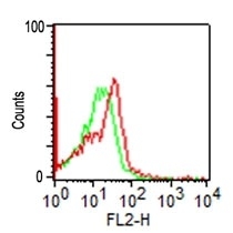 NCAM-1/CD56 Antibody (SPM128) - Azide and BSA Free Flow Cytometry: NCAM-1/CD56 Antibody (SPM128) - Azide and BSA Free [NBP2-34397] -