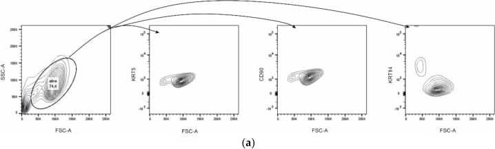 Cytokeratin 14 Antibody (SPM263) [Allophycocyanin]